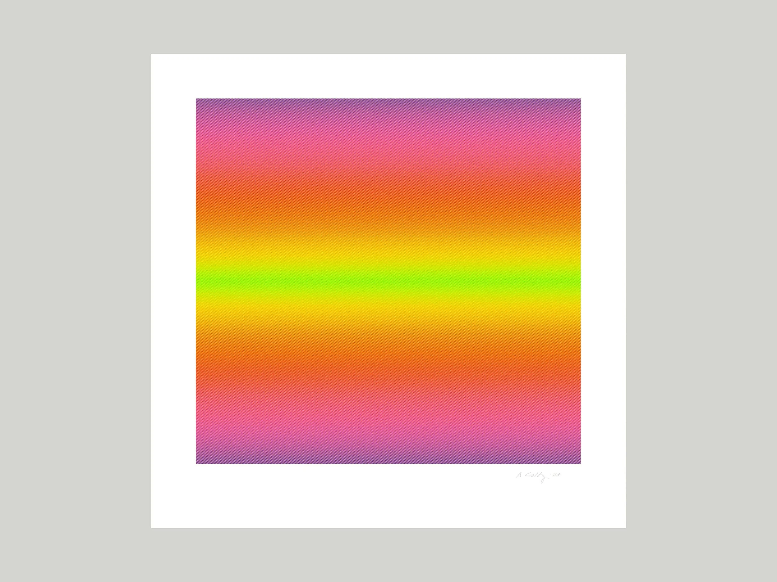 XL 26 Untitled 28