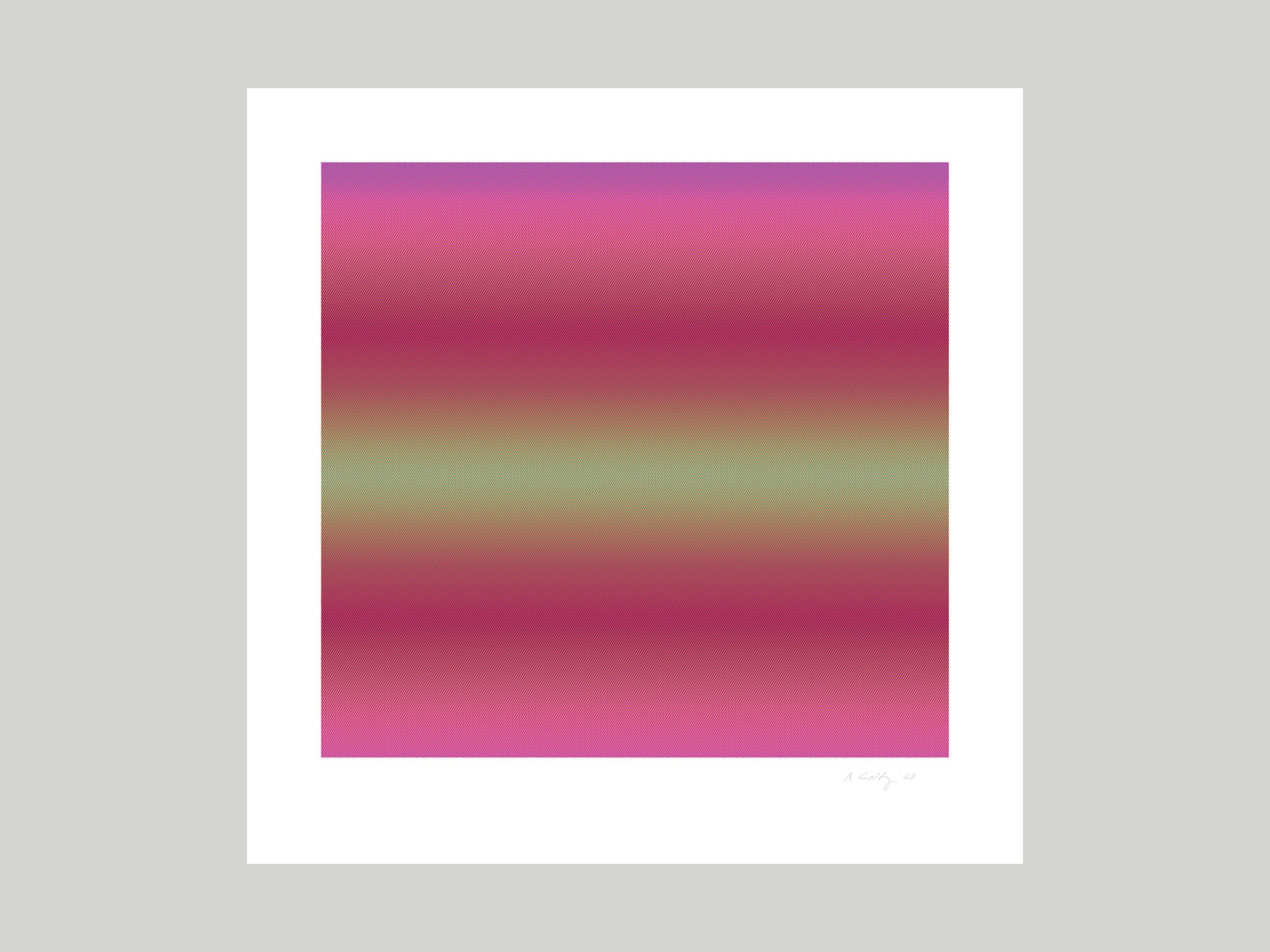 XL 26 Untitled 23
