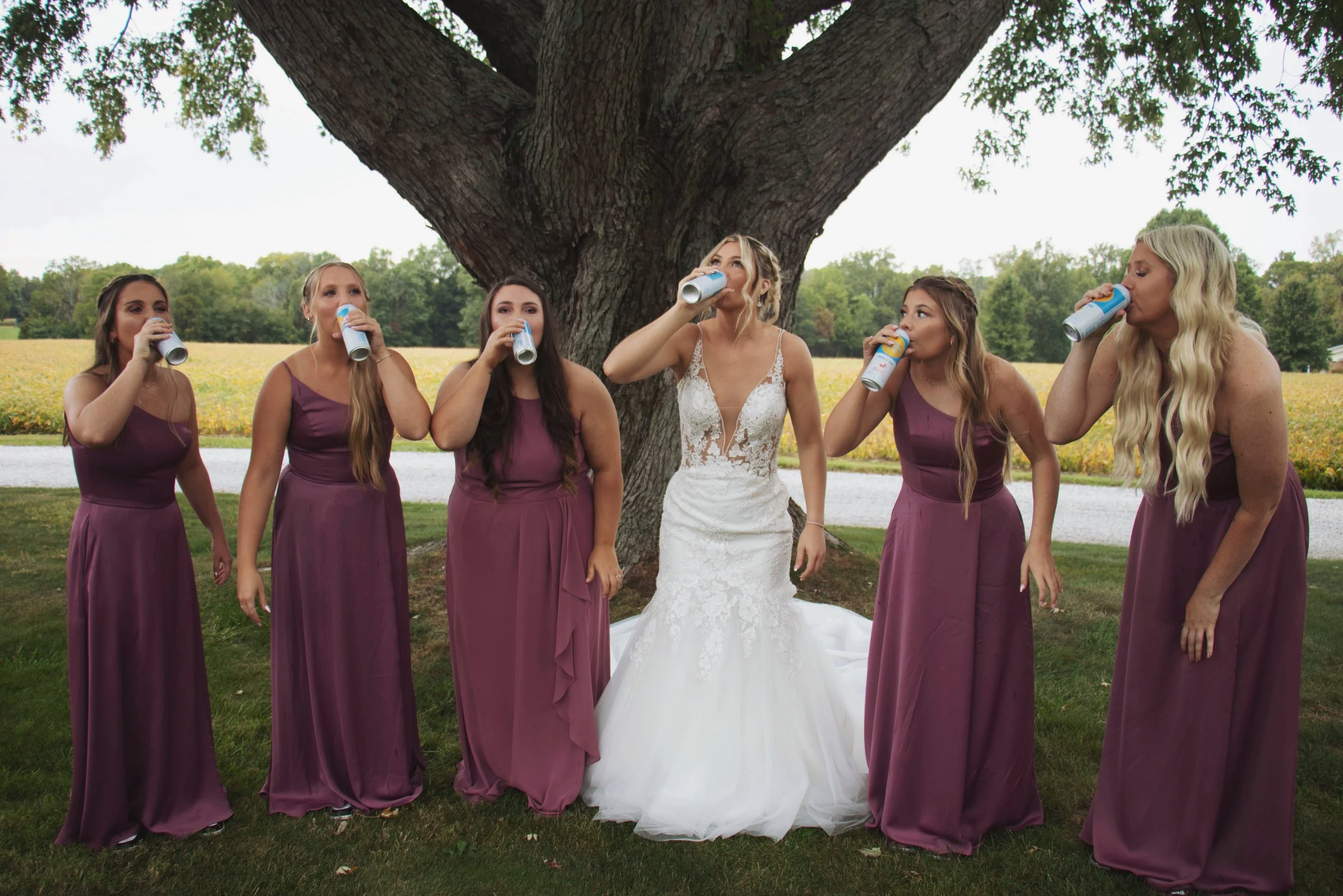 AfterlightImage 27.JPG