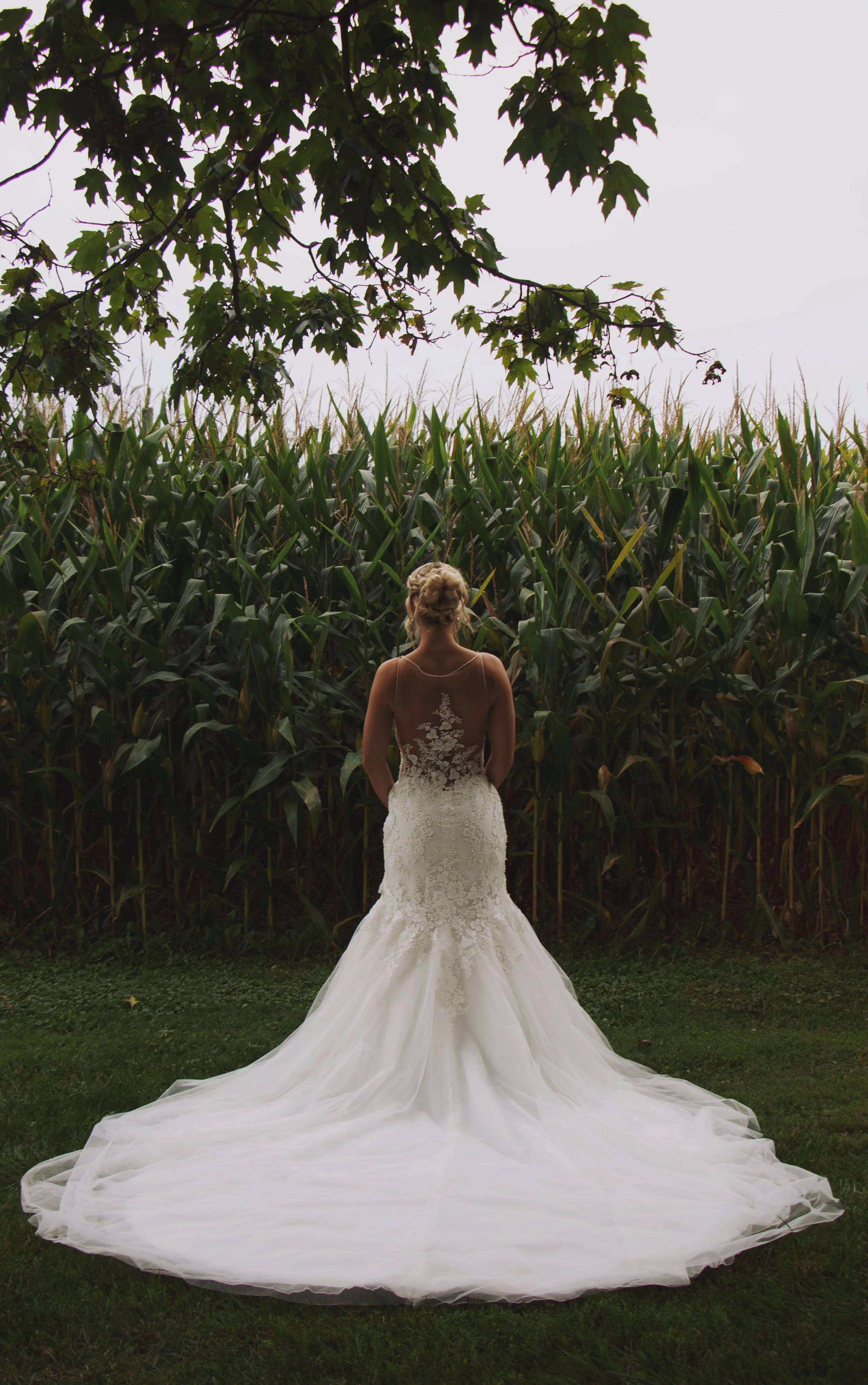 AfterlightImage 33.JPG