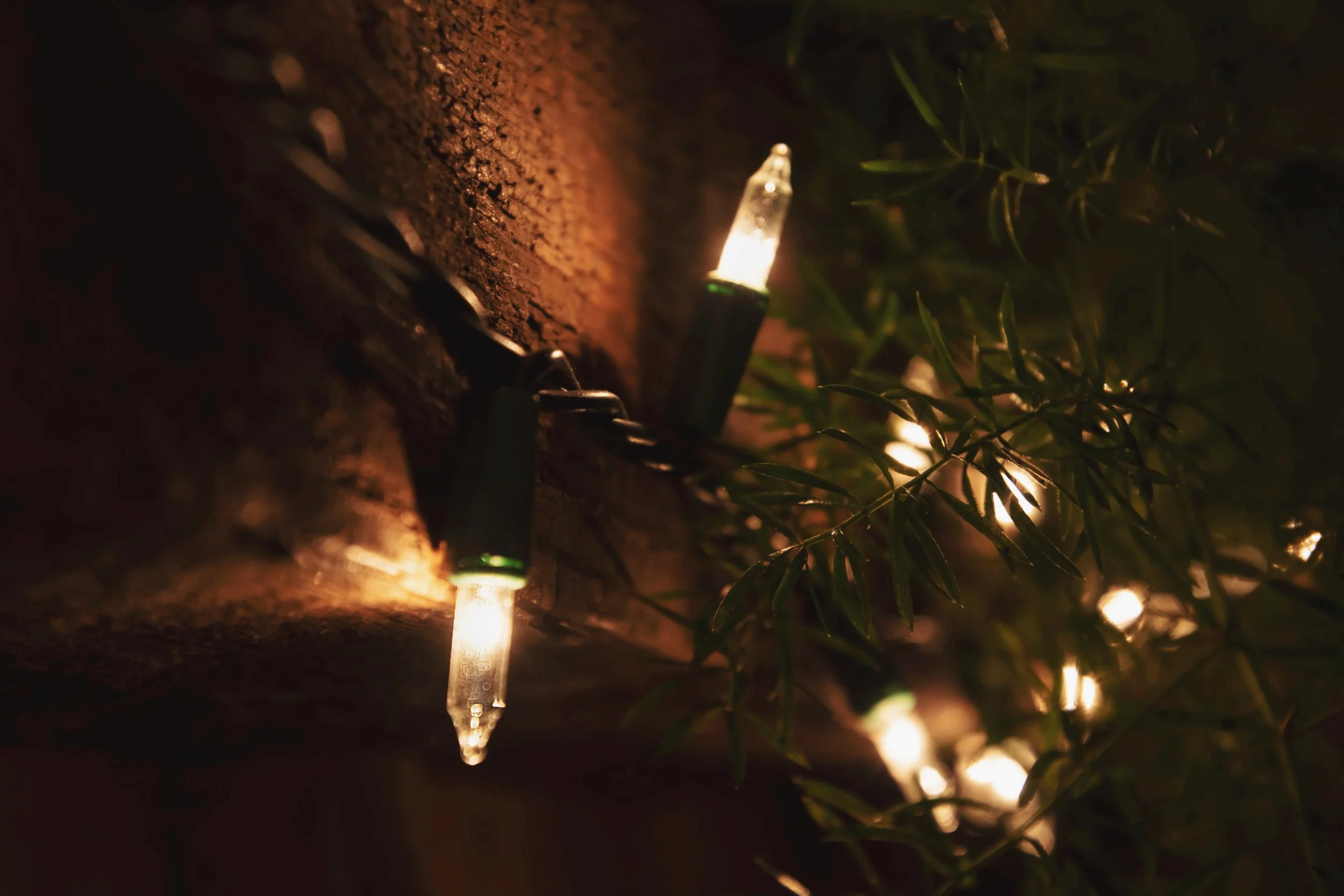 AfterlightImage 32.JPG