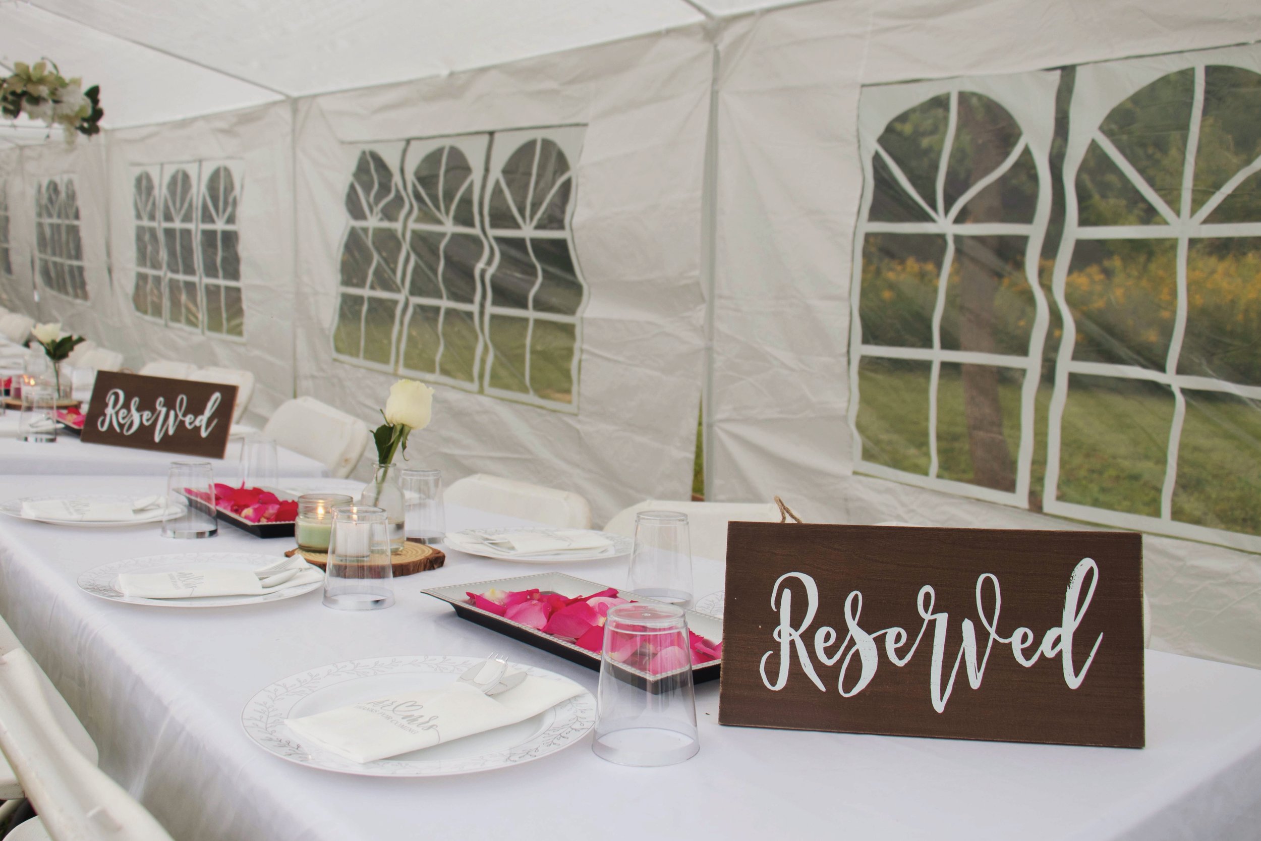 AfterlightImage 18.JPG