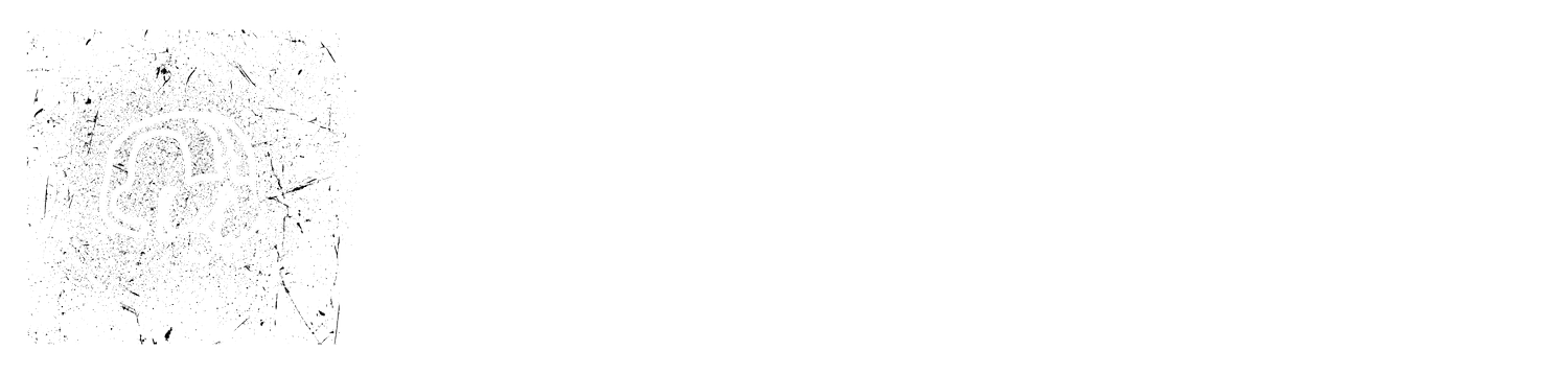 Deadquarters Studio