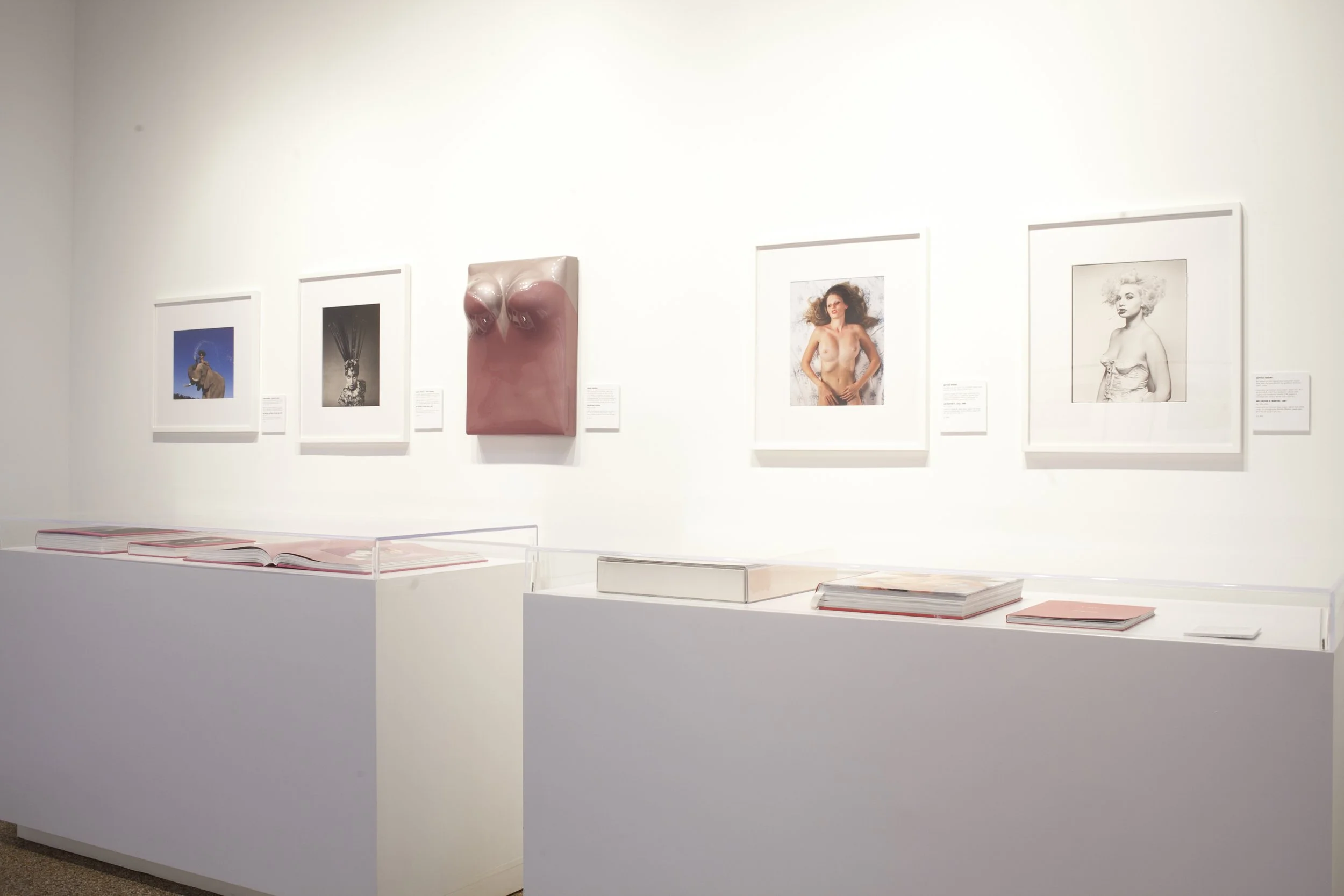 TASCHEN Gallery featuring Art Editions books with limited edition photographs of Naomi Campbell by Paolo Roversi and Jean-Paul Goude along side limited edition photographs by Bettina Rheims. Installation photographs by Gregory Bojorquez.