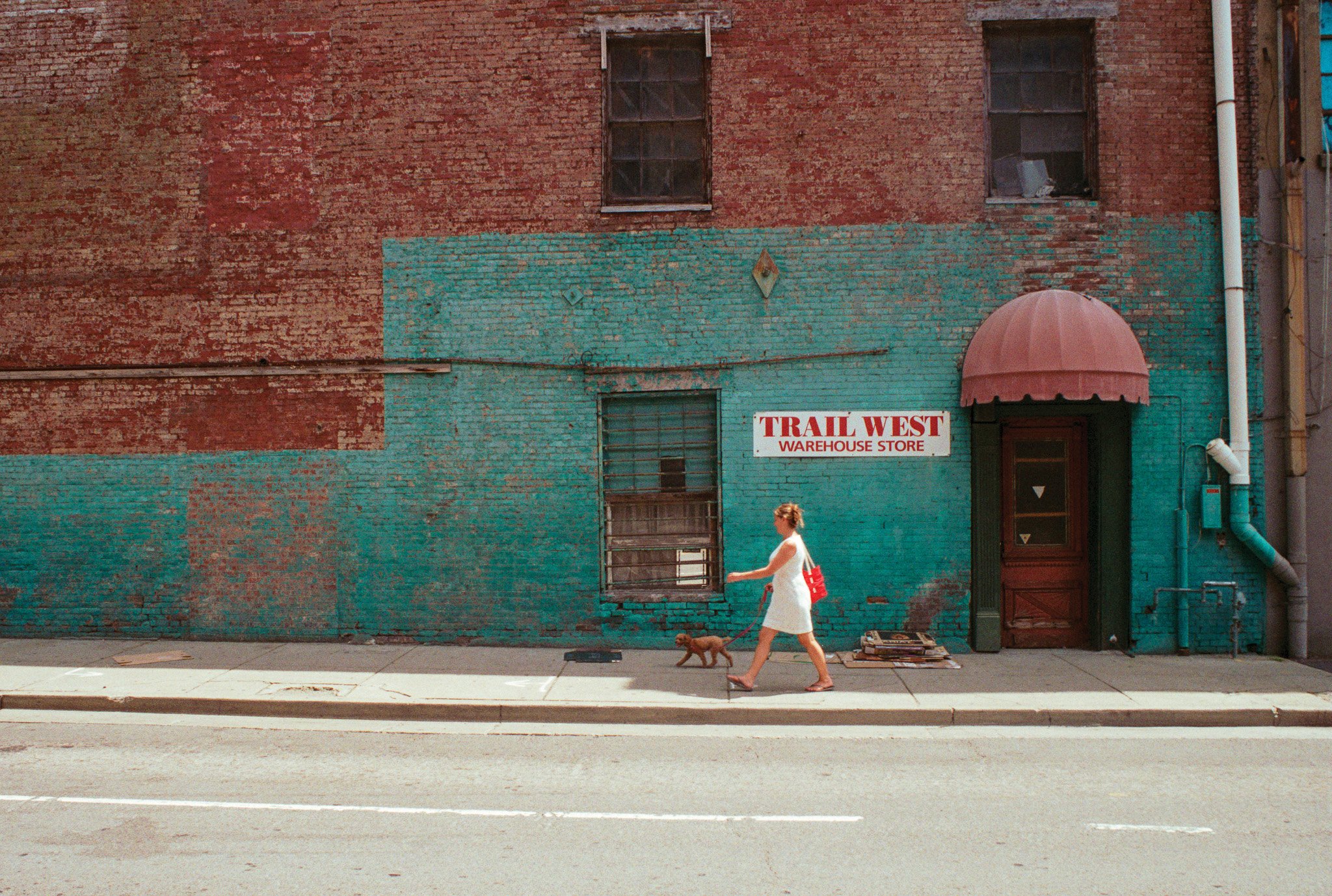 Walking the dog, Nashville, TN, 2014