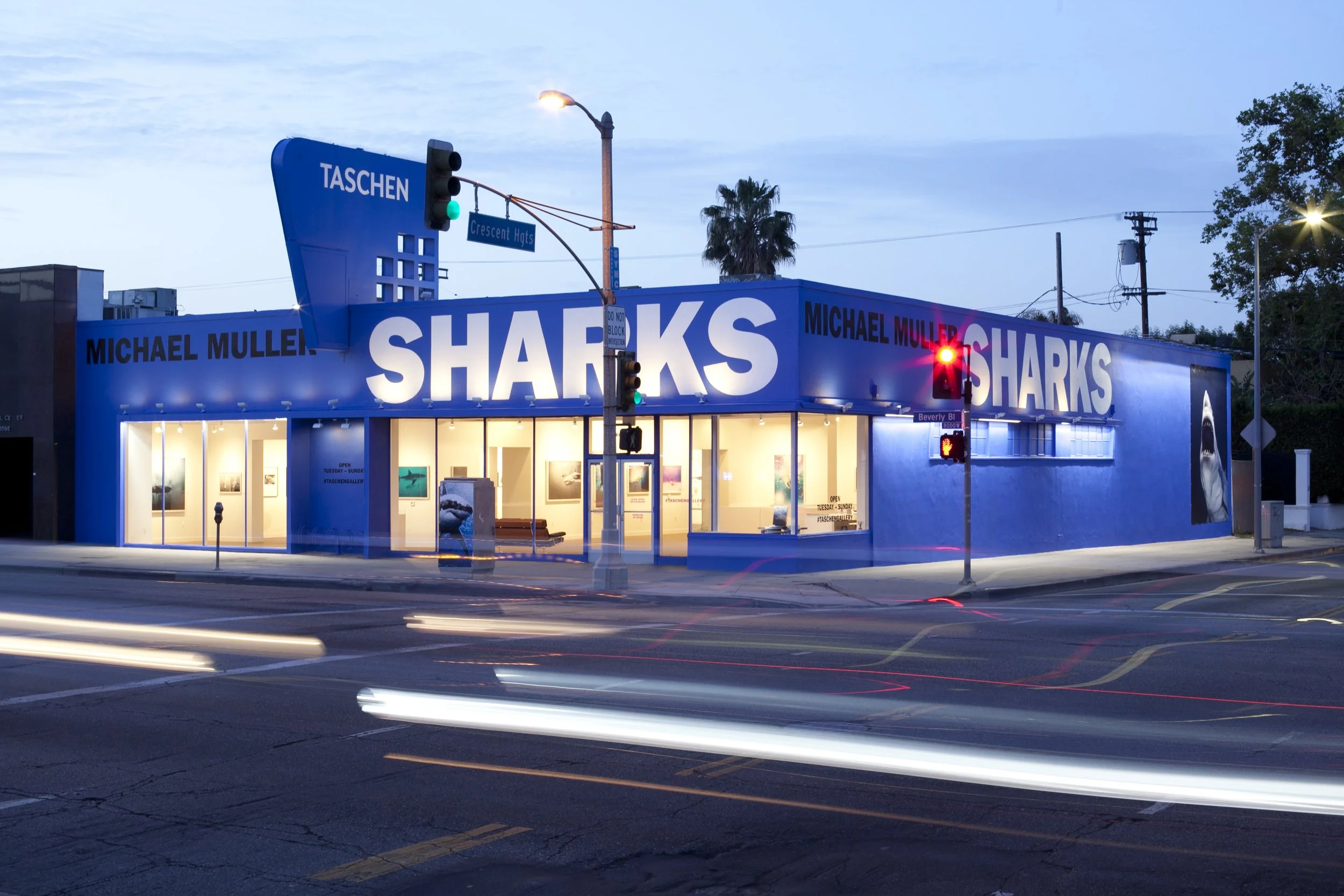 TASCHEN Gallery Los Angeles featuring Michael Muller: SHARKS exhibition. Exterior photograph by Gregory Bojorquez