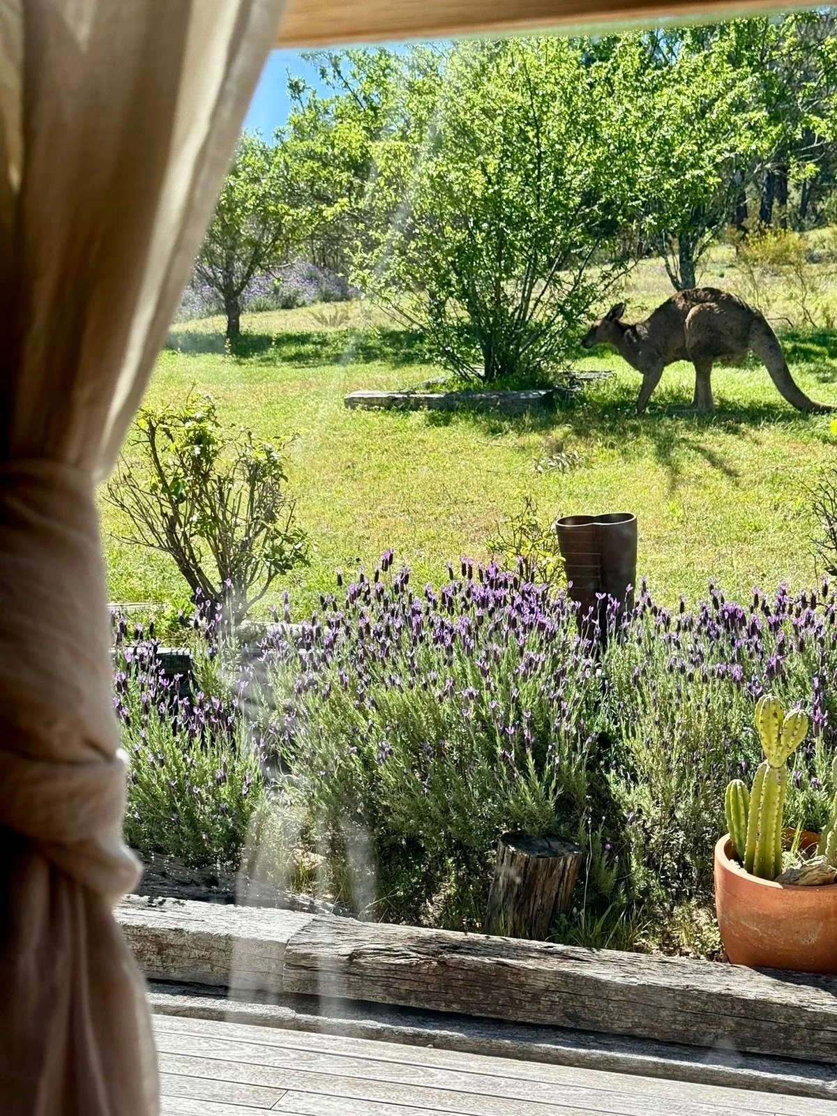 OCTOBER WRAP | Whether it&rsquo;s a Hometime conference, a property photo shoot, a staff birthday or rescuing guests when they lock their keys inside, the Bliss team have ticked it all off this month 😉 

Swipe for a glimpse at the month that was&hel