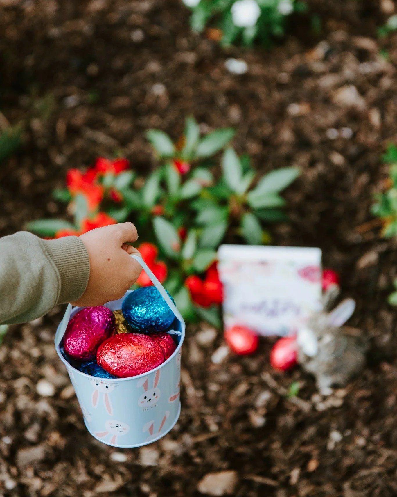 Happy Easter from the Bliss family 🐇🍫 Time to stock up on the choccies, kick back &amp; relax with your loved ones 😉