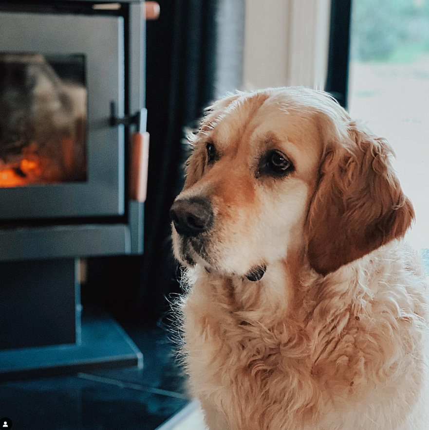 Mudgee Pet Friendly Accommodation