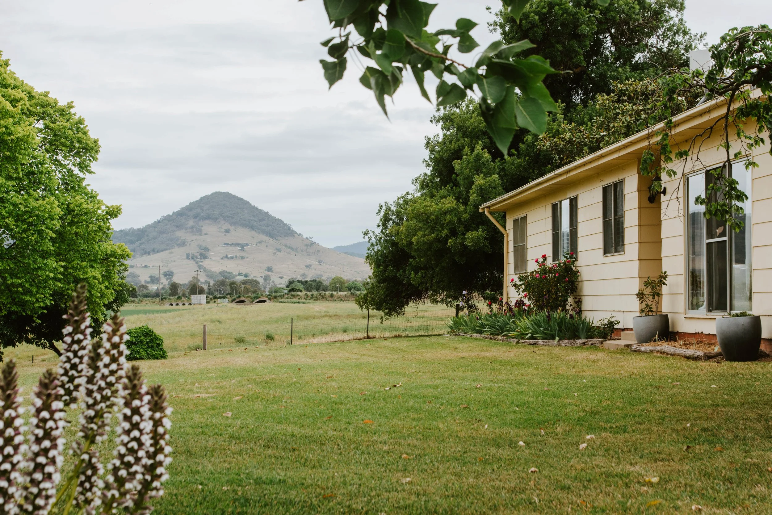 Airbnb Pet-Friendly Accommodation Mudgee Pet Stays Fenced