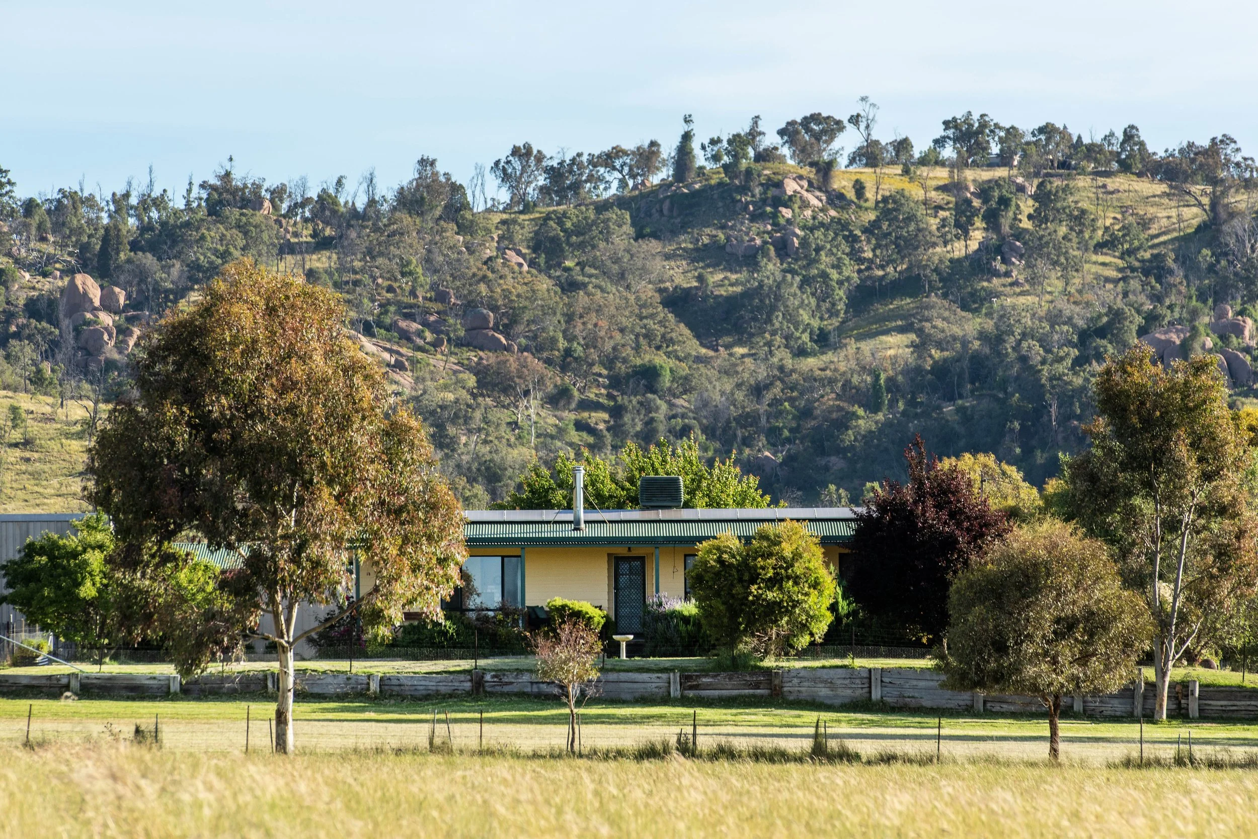 Ithaca Mudgee Pet Friendly Accommodation Bliss Stays