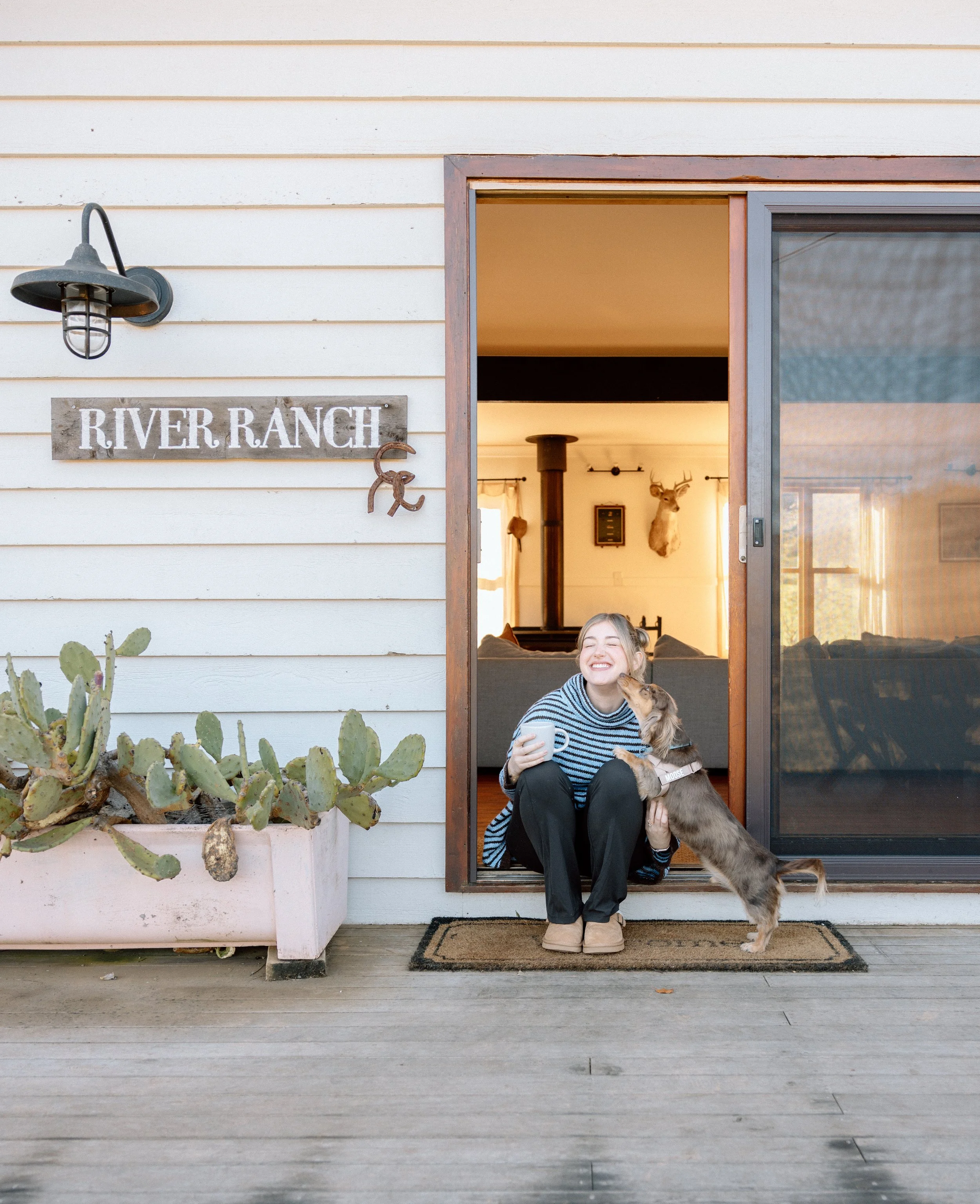 pet-friendly stays in mudgee nsw accommodation