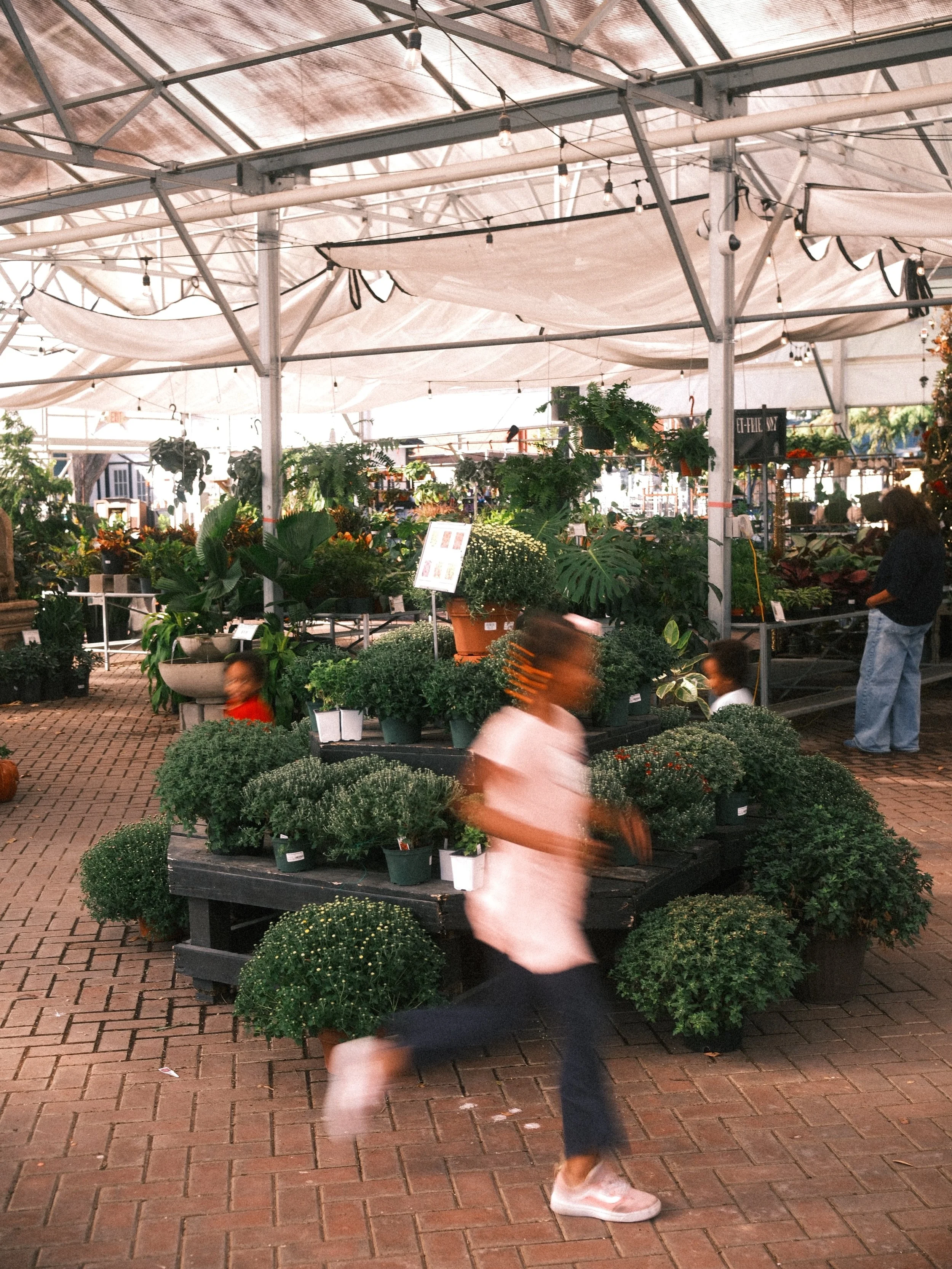 One of these days we're going to have to buy a fountain for the garden but until then catch us at @buchanansplants