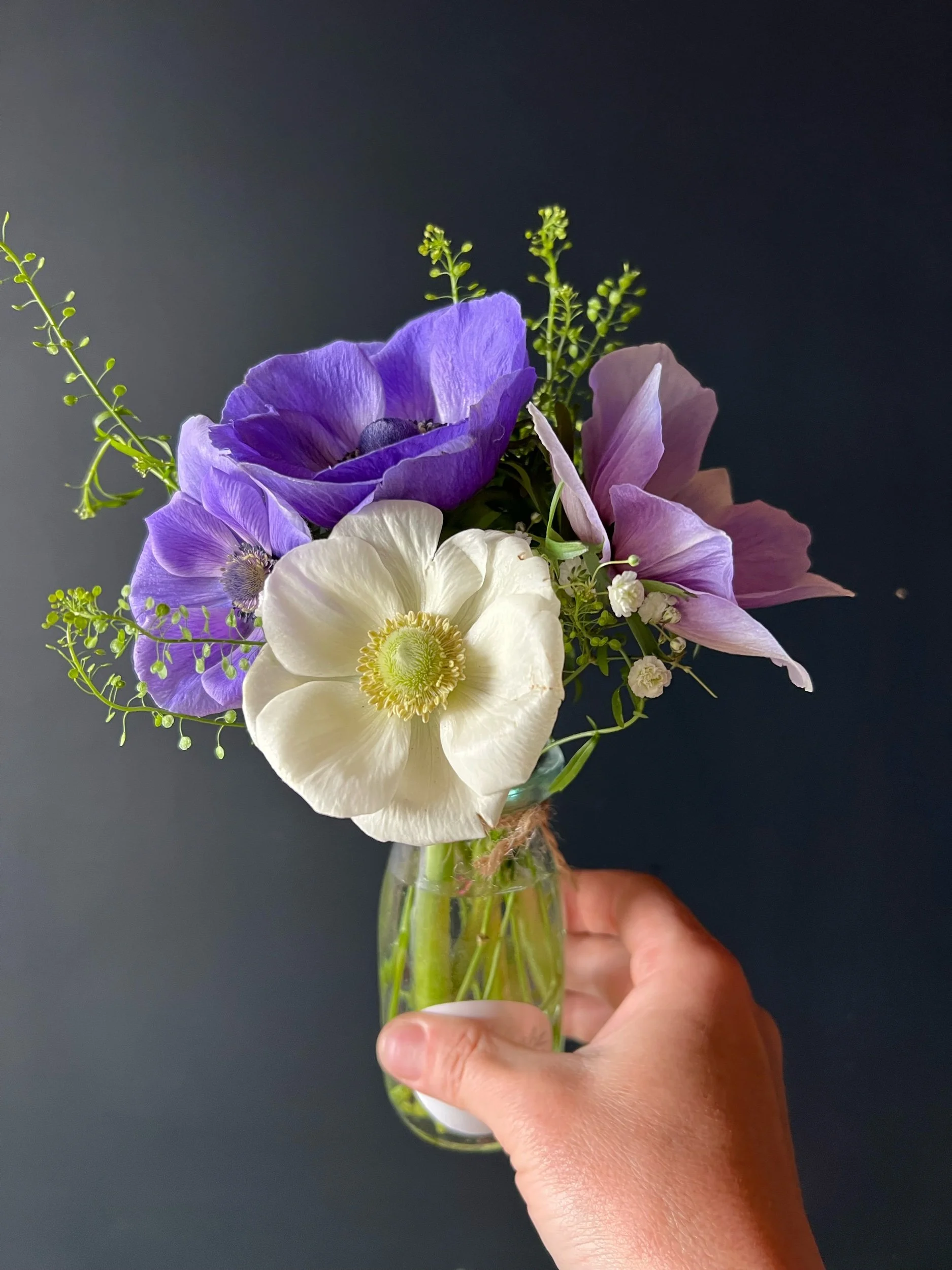 Anemone: Italian Minstral Mix