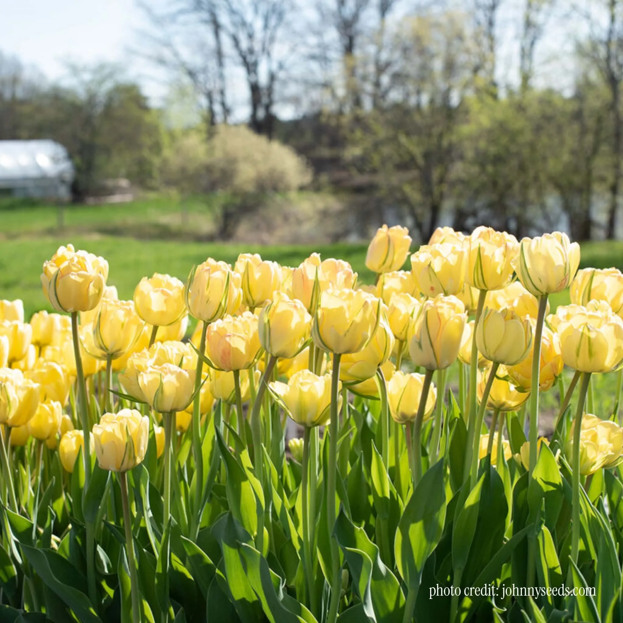 d2753cc4-c4e1-486f-b83b-842b3bc41287.jpg