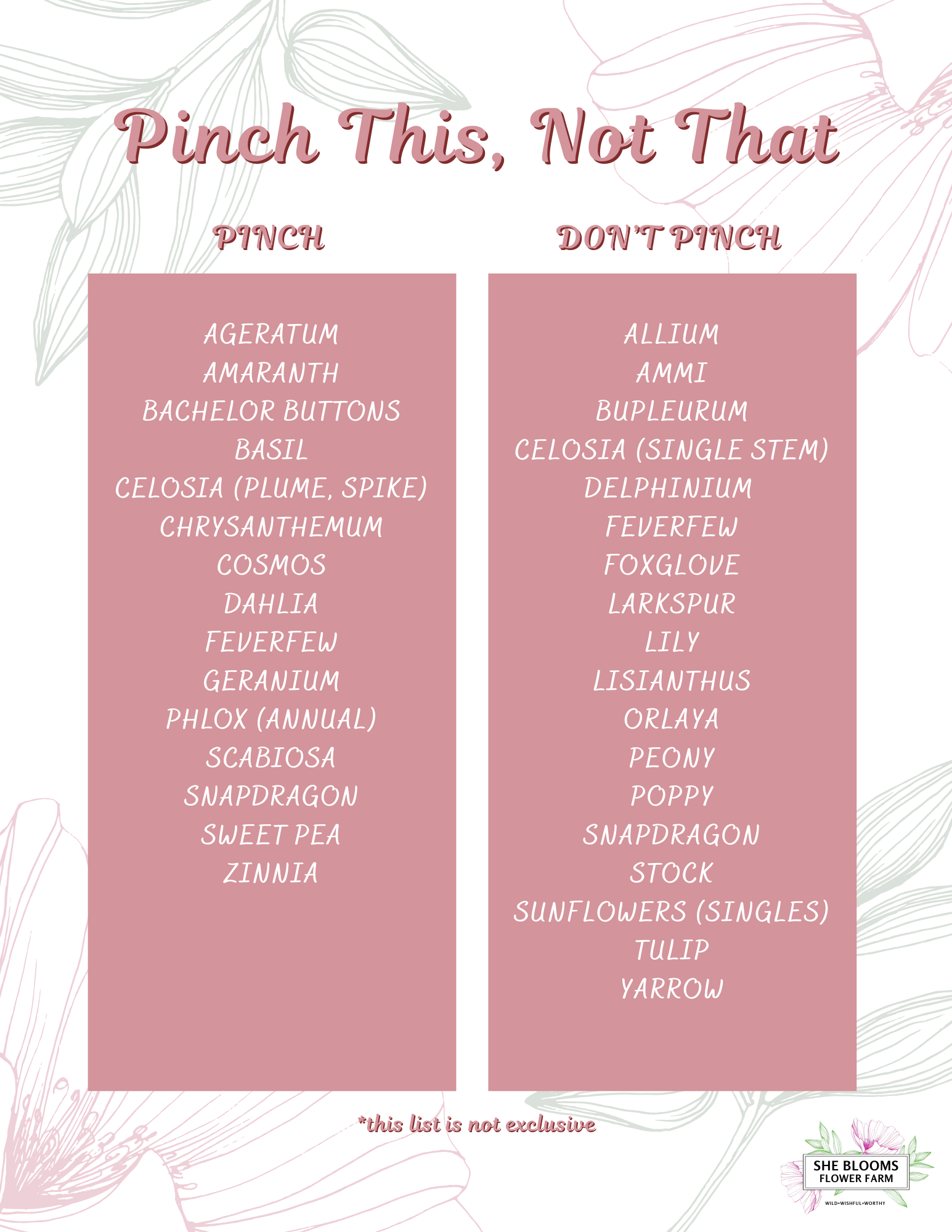 guide to pinching plants