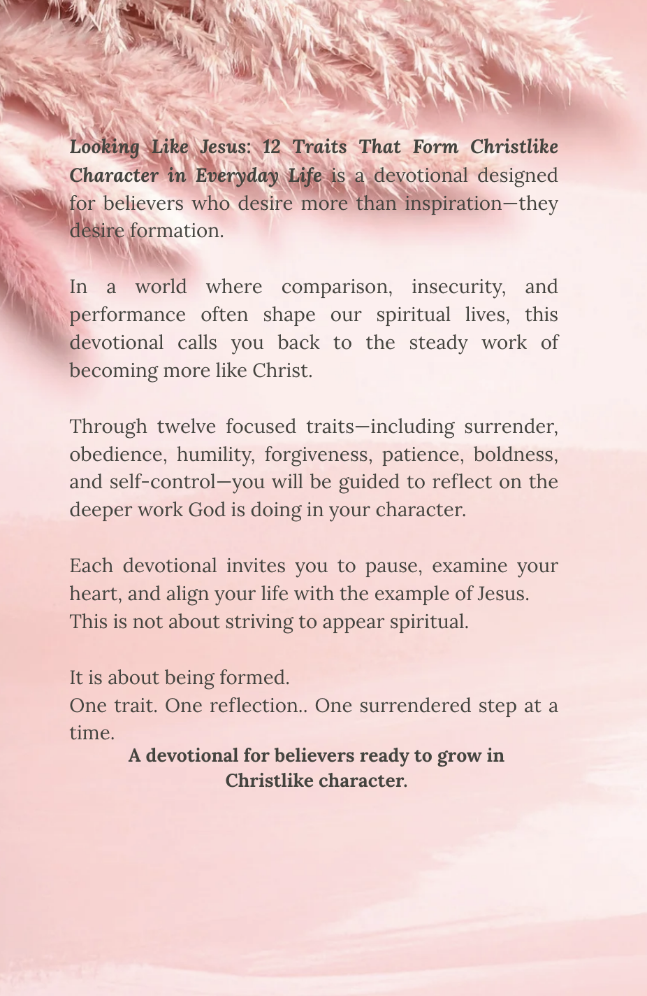 Looking Like Jesus Bak Cover.png