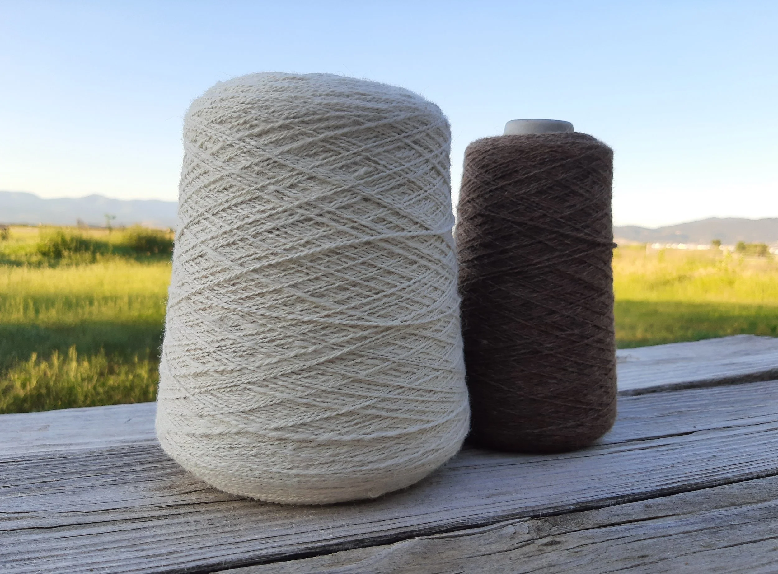 the Monthly Wrap - July 2025