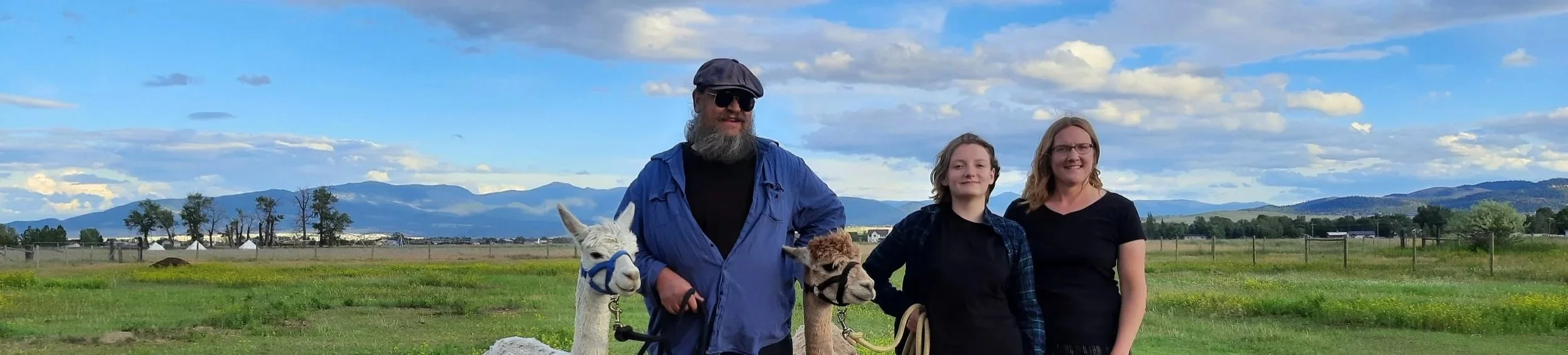 the Monthly Wrap - December 2025