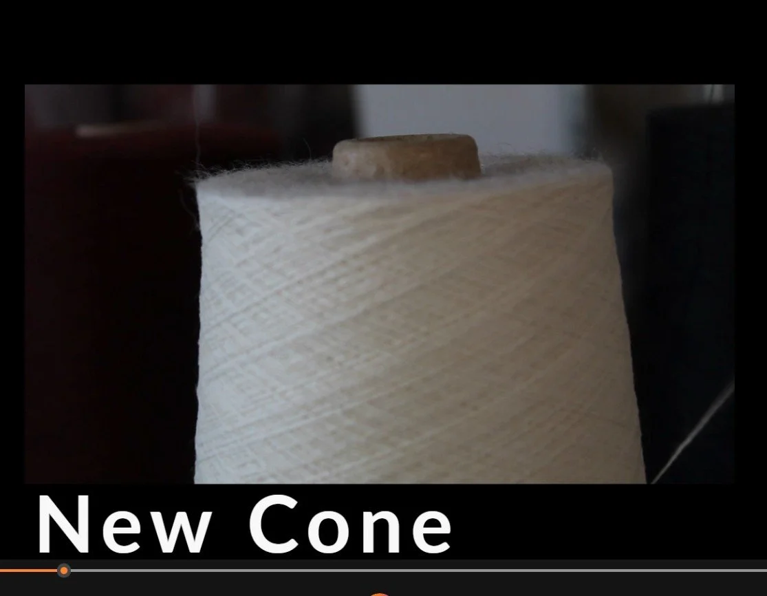 the Monthly Wrap - January 2026