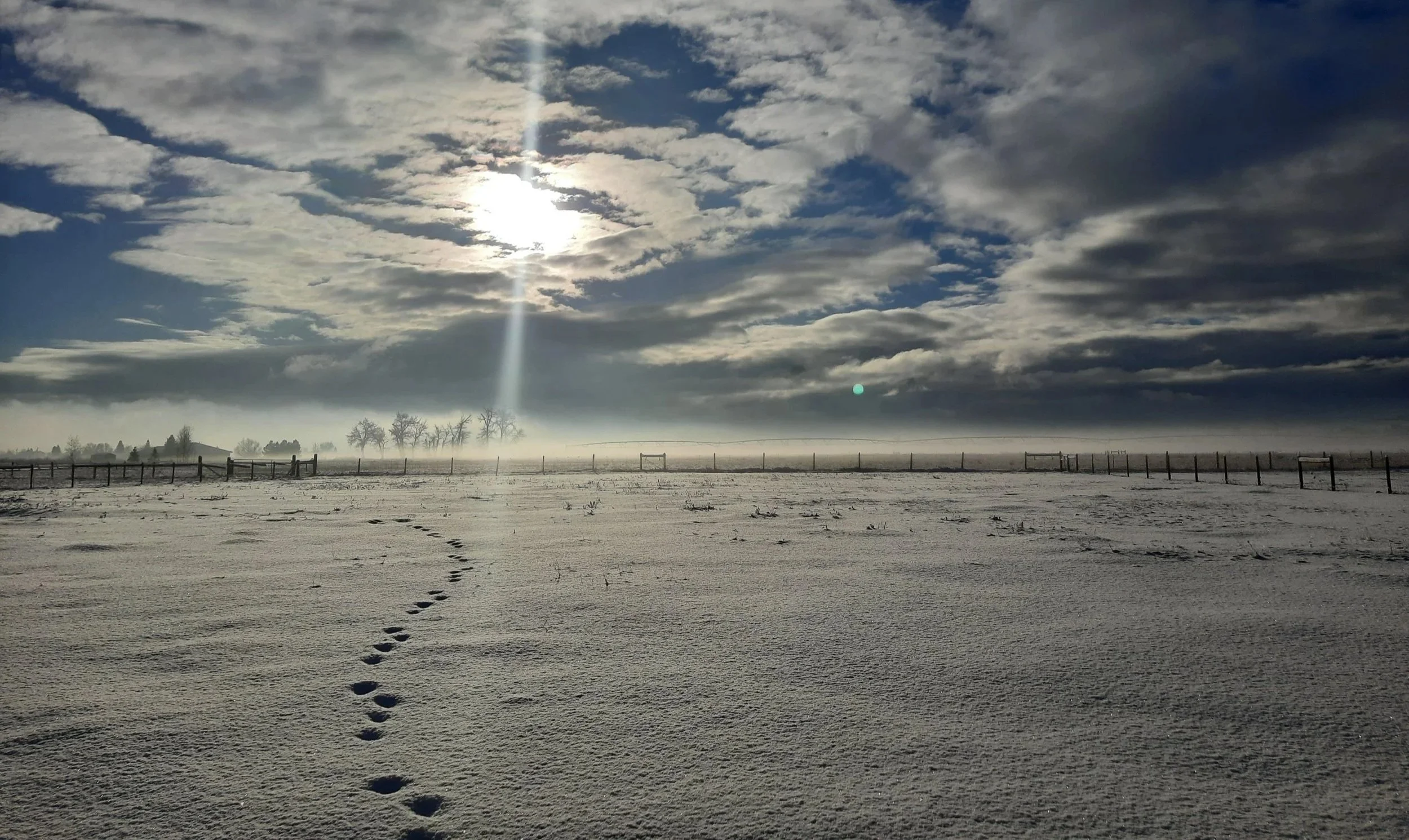 the Monthly Wrap - January 2026