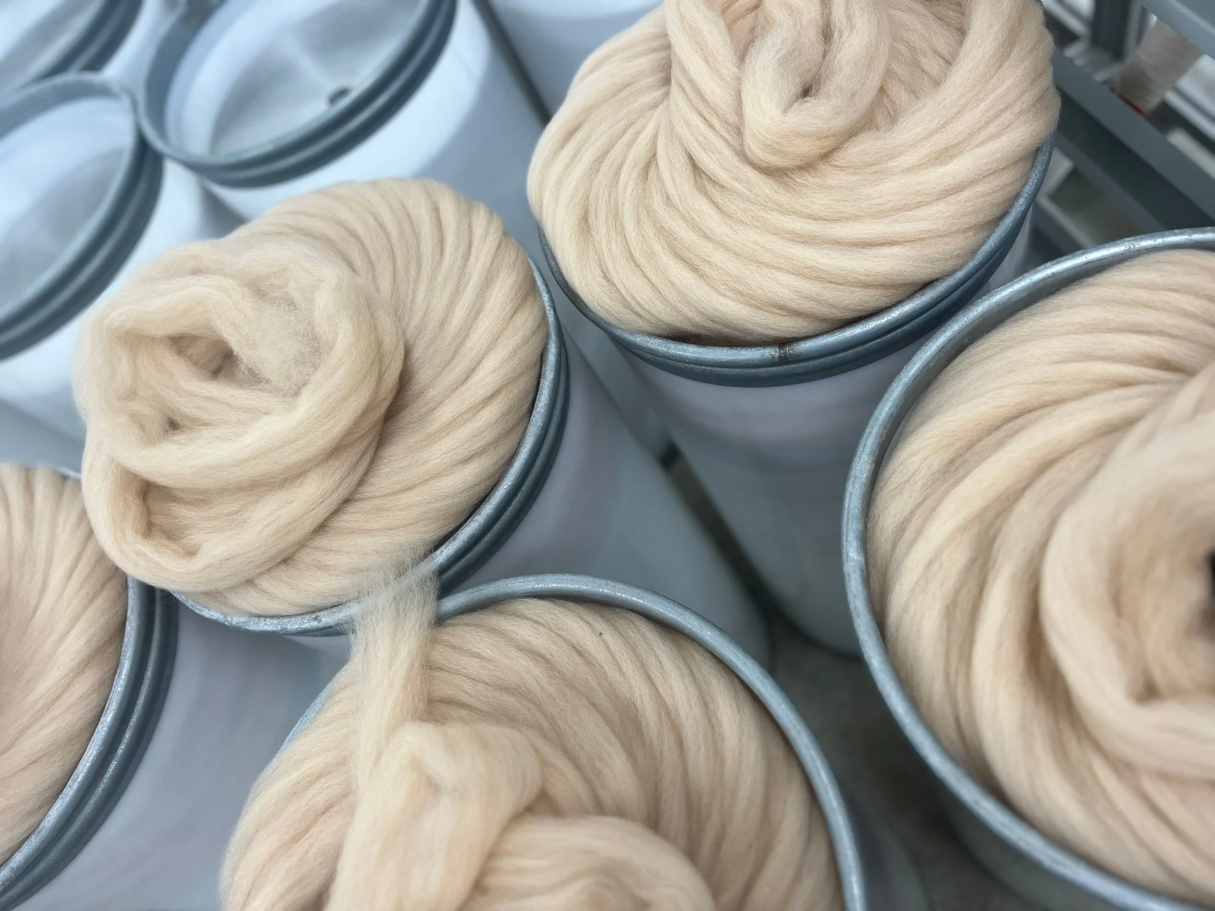 the Monthly Wrap - March 2026