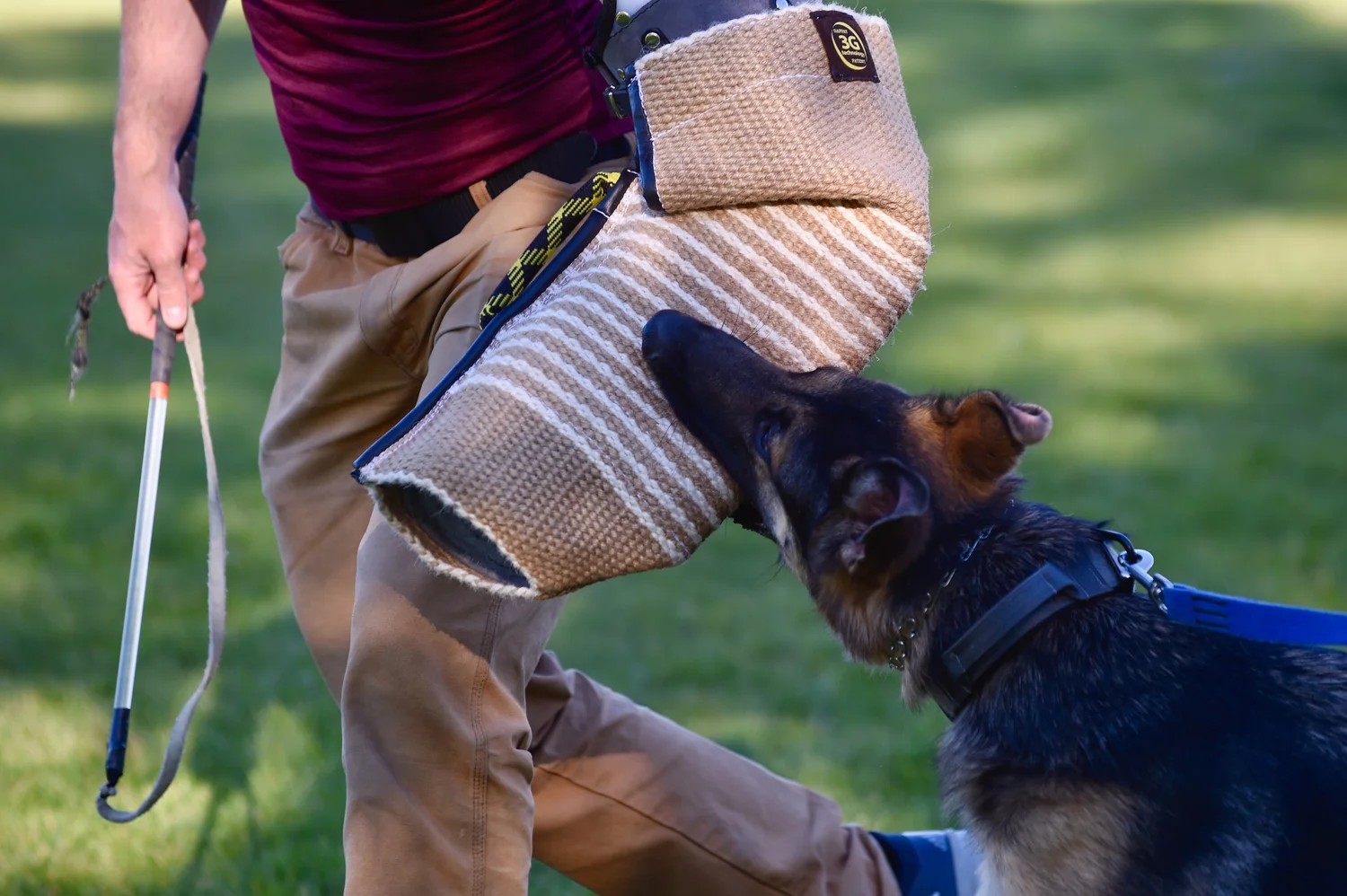 Dog Training Denver | Ancillary K9 Denver's Expert Dog Trainers