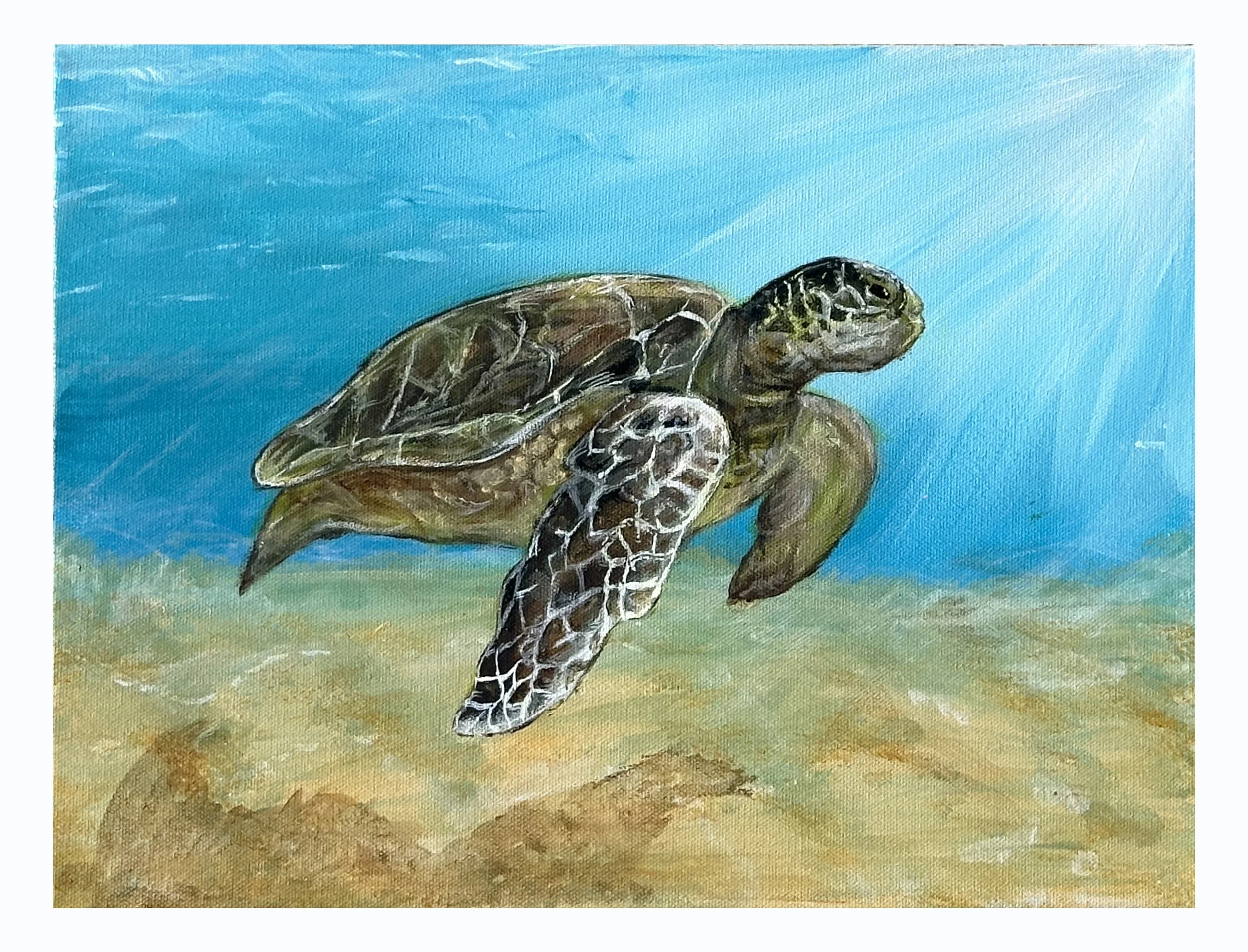 SEA SURVIVOR | Limited Edition Print - Signed by Artist