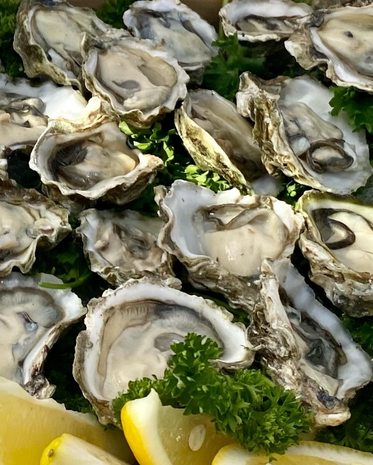 Did somebody say Oysters 👍 yes please&hellip; amazing Hawker styled service for Cocktail Hour #wedding #menu #food #kumomoto #oysters #chef