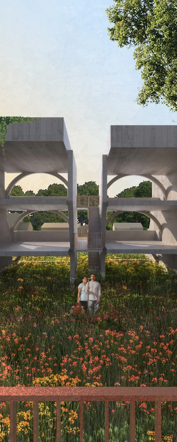 Rendering, Arched Frame and Flower Field