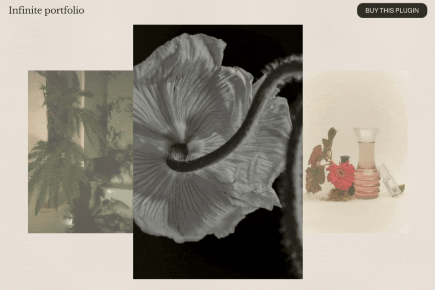 Plugin: Infinite Portfolio