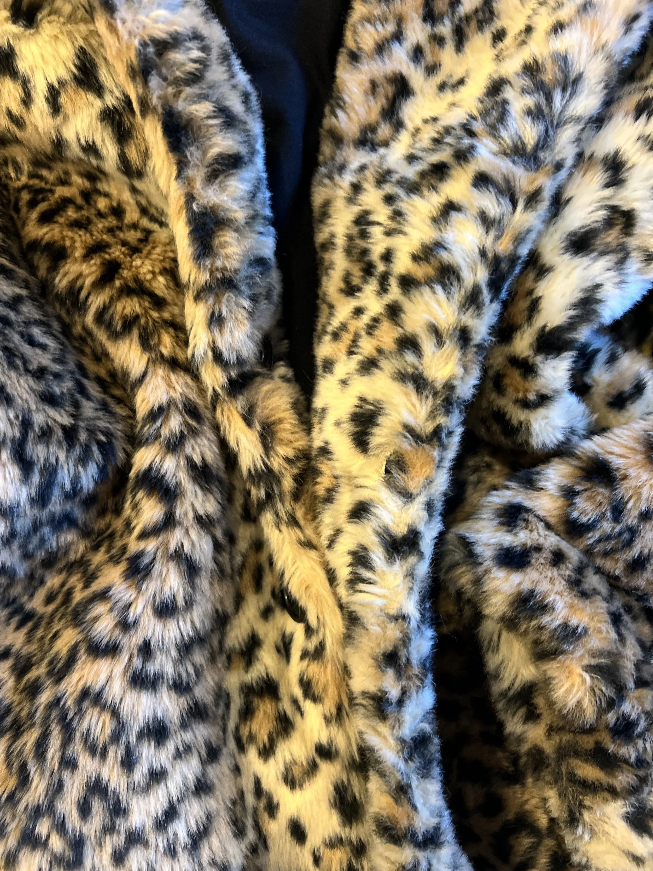 leopard coat3.jpg