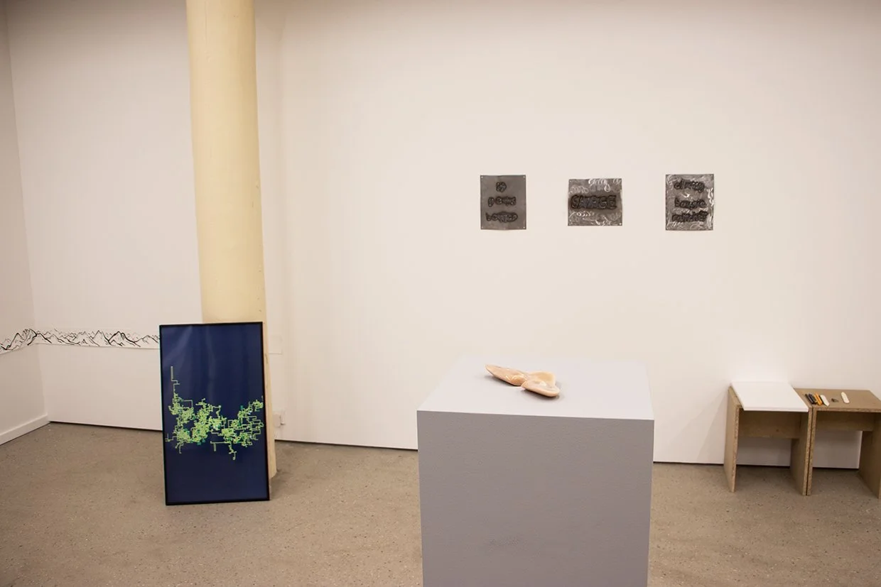 Grayson Cox Survey Moist Installation View 2 (Web).jpg