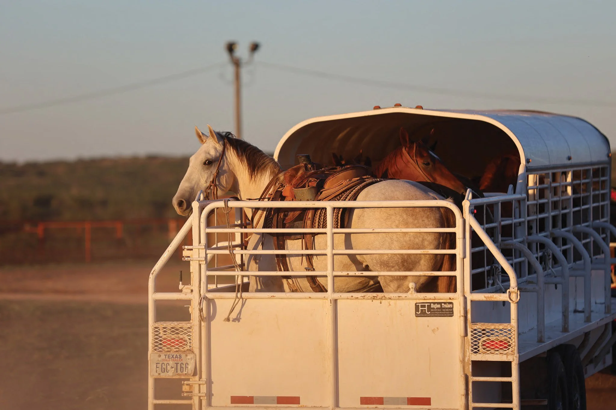 Designed with the needs of today's cattle- and horseman in mind, Hughes trailers have proven to be a reliable investment since the first trailer was manufactured in 2005.