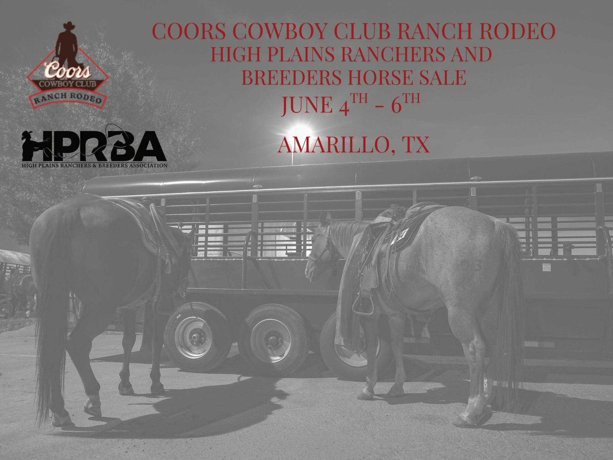 We will be set up at the Coors Cowboy Club Ranch Rodeo and High Plains Rancher and Breeders Horse Sale!
June 4th - 6th
Amarillo National Center Amarillo, TX