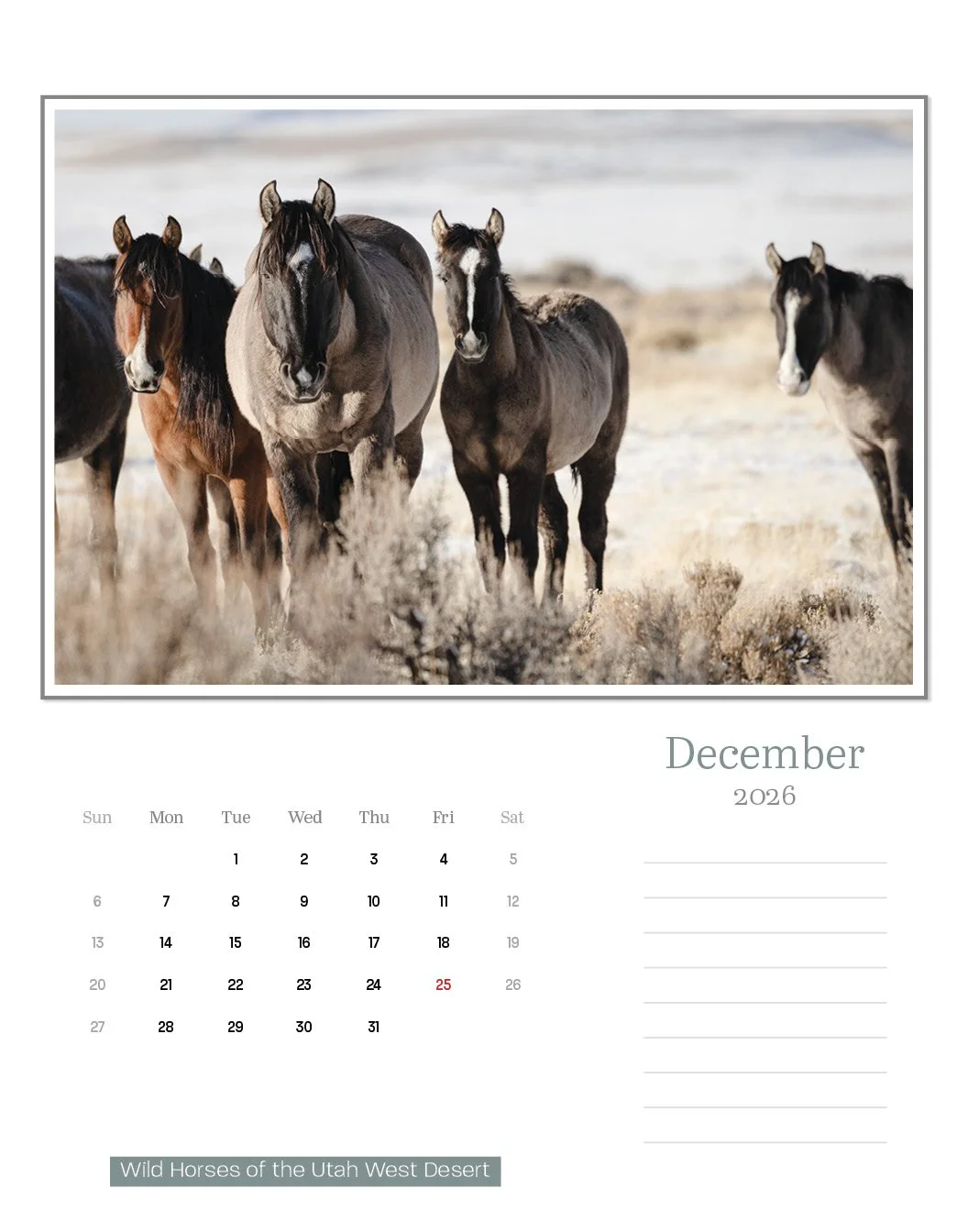 calendar--final-store27.jpg
