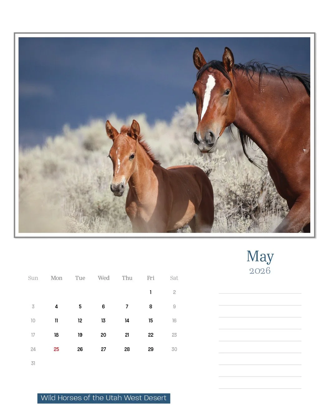 calendar--final-store13.jpg