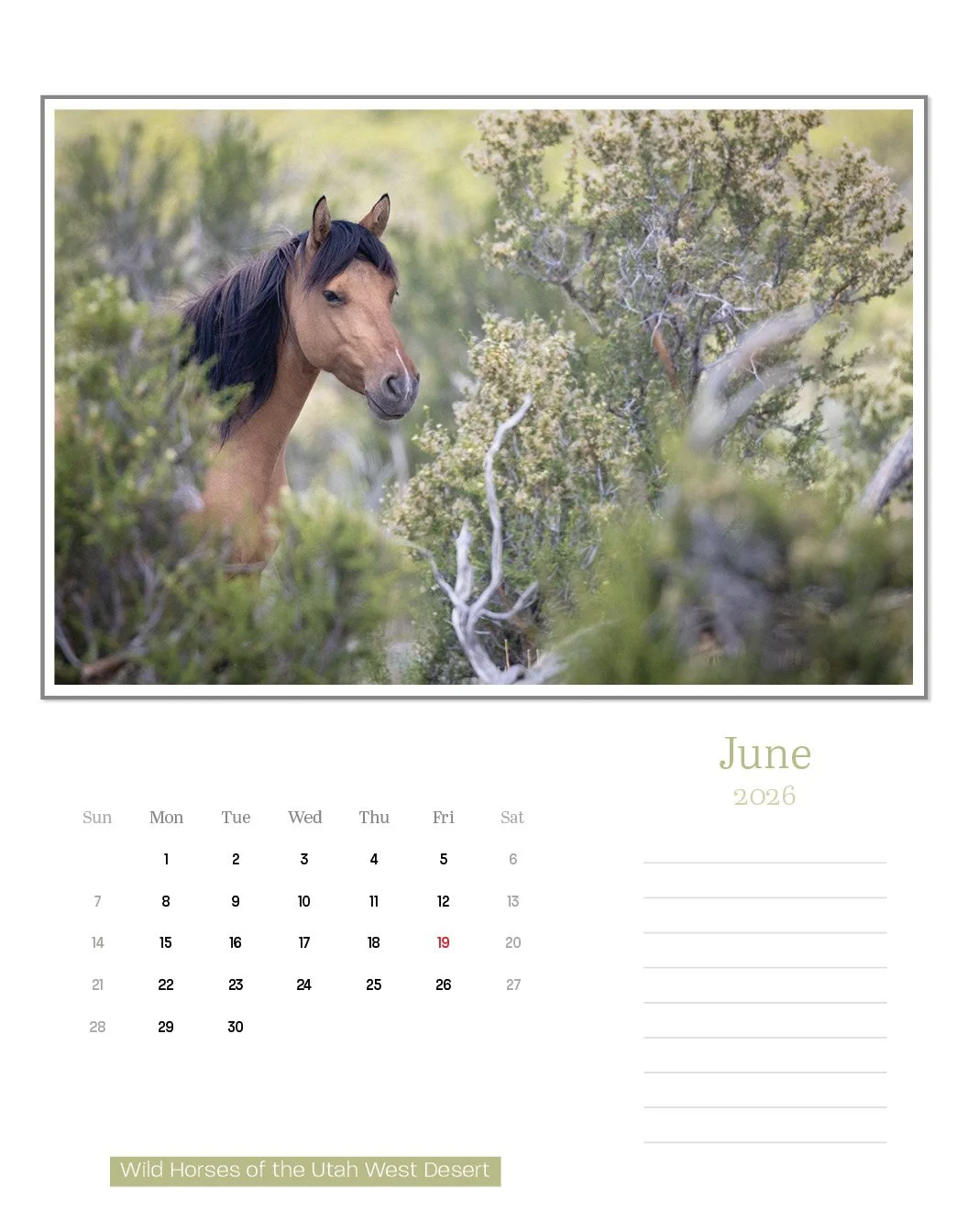 calendar--final-store15.jpg