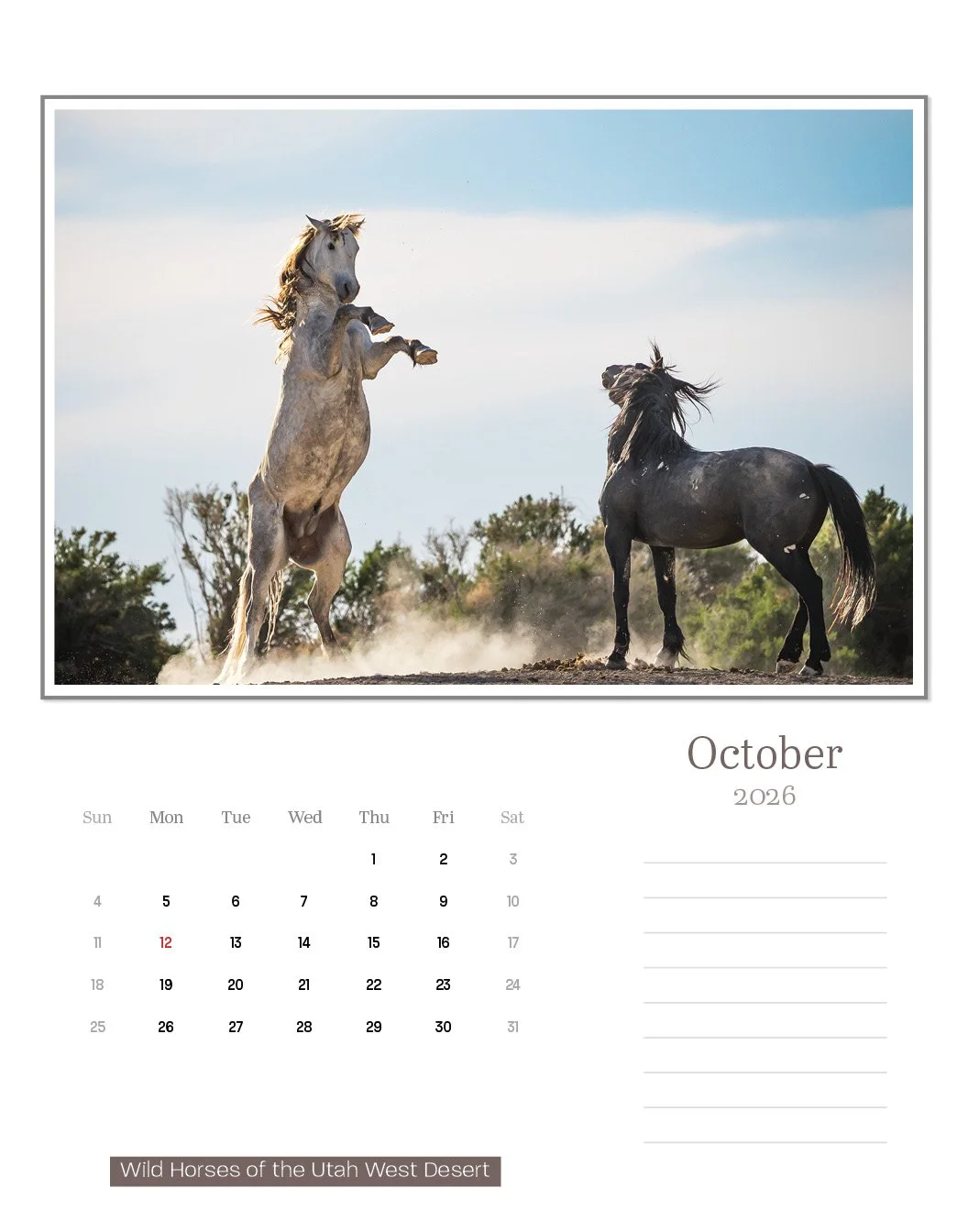 calendar--final-store23.jpg