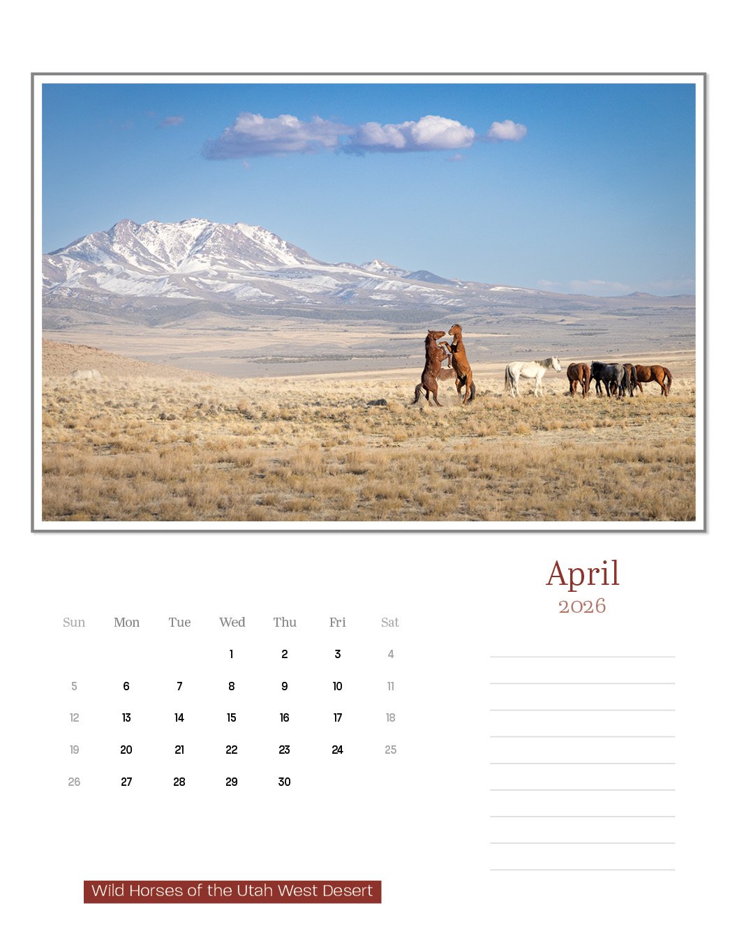 calendar--final-store11.jpg