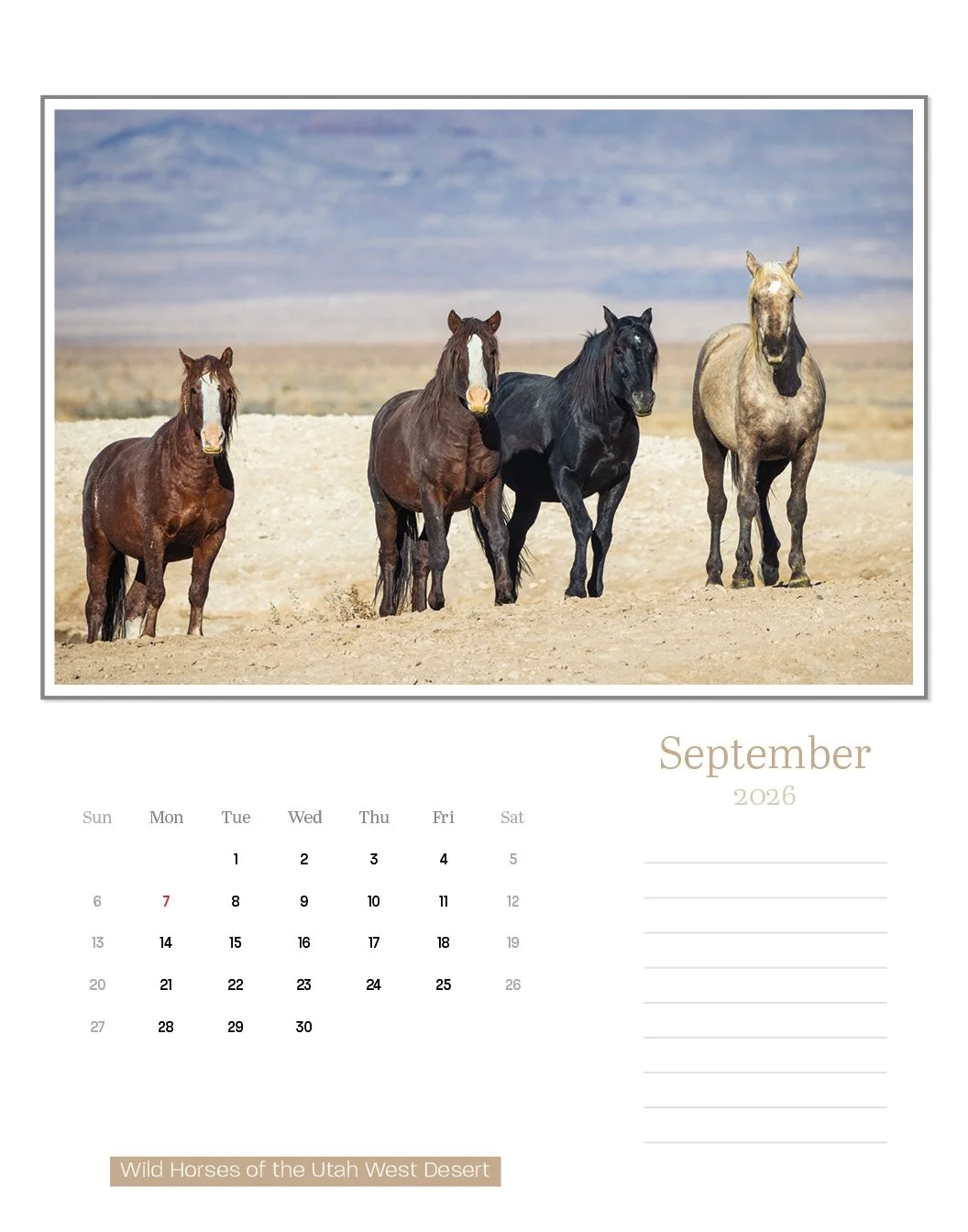 calendar--final-store21.jpg