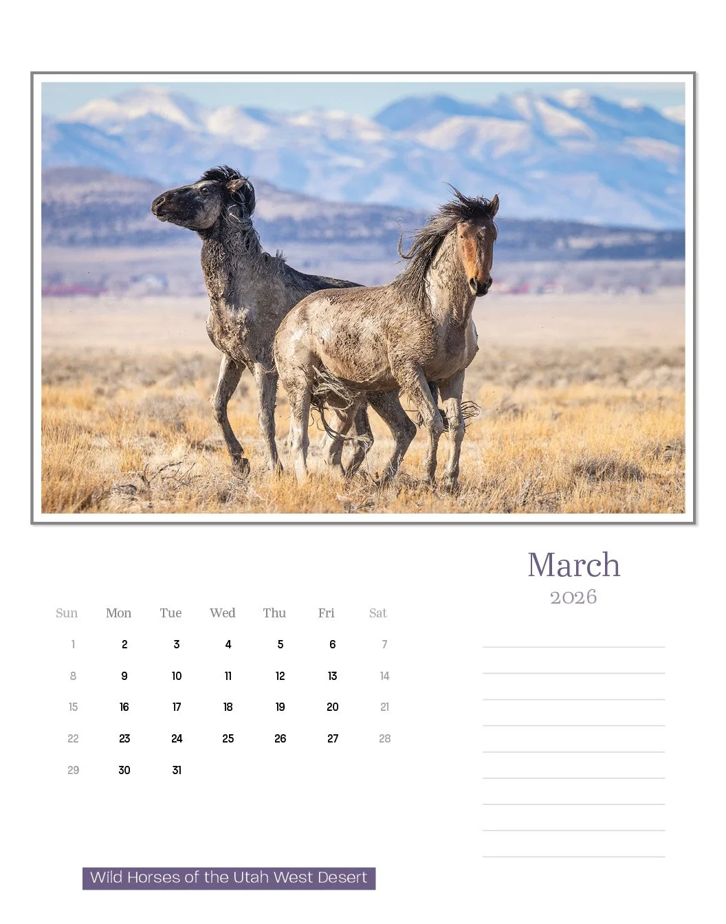 calendar--final-store9.jpg