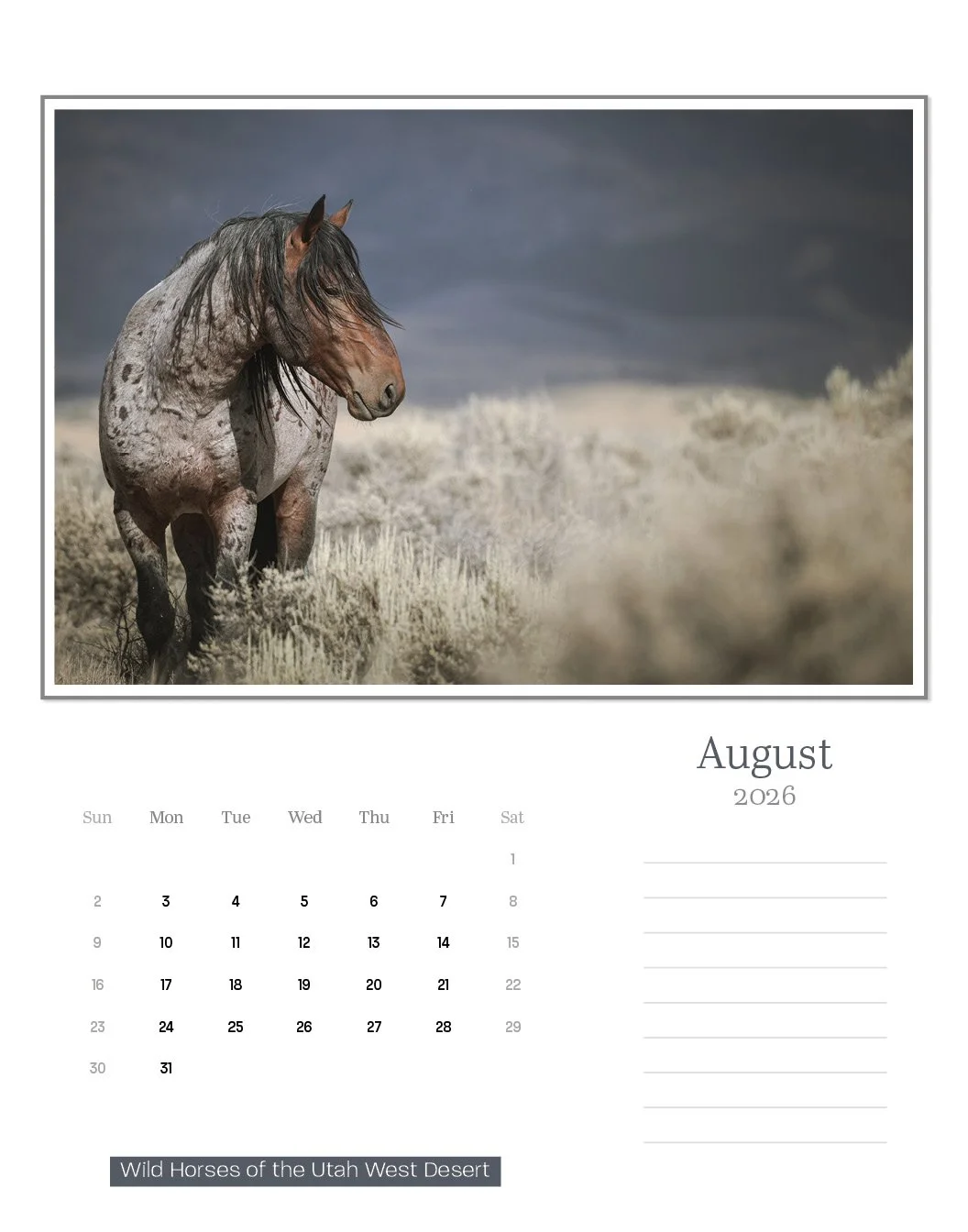 calendar--final-store19.jpg