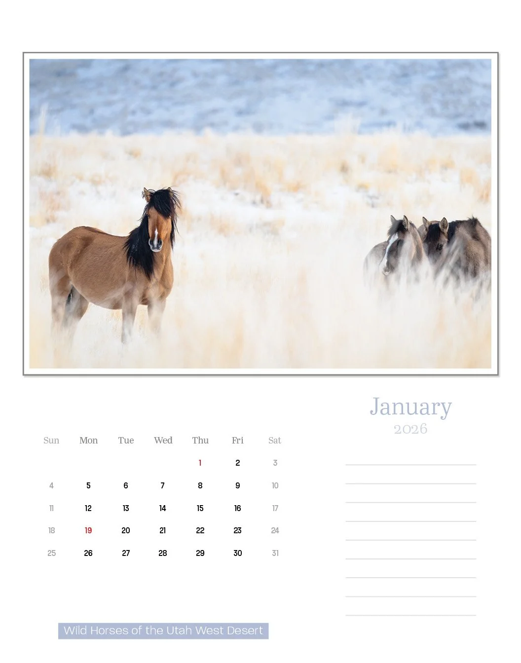 calendar--final-store5.jpg