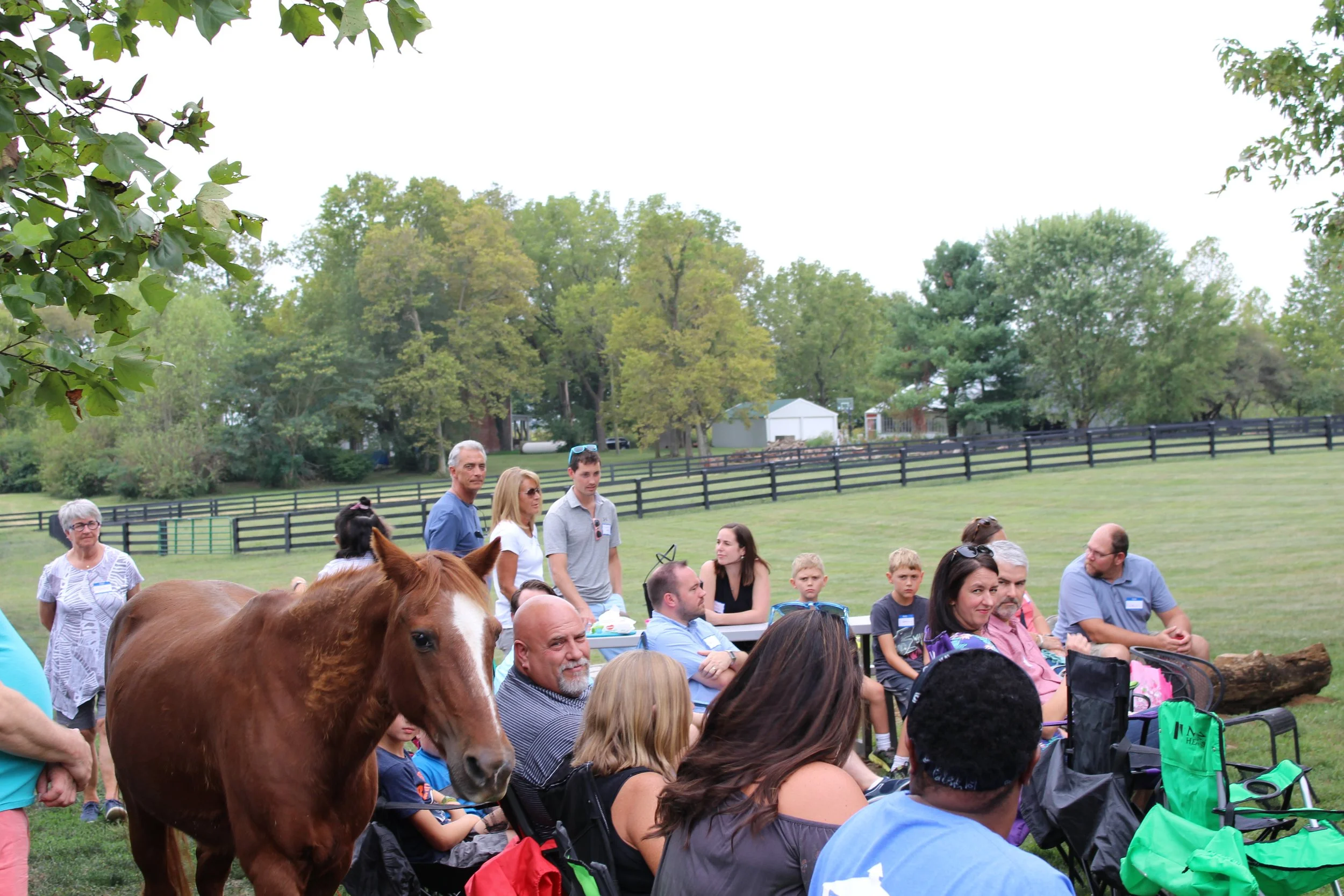 Fall Picnic at the Easley Farm