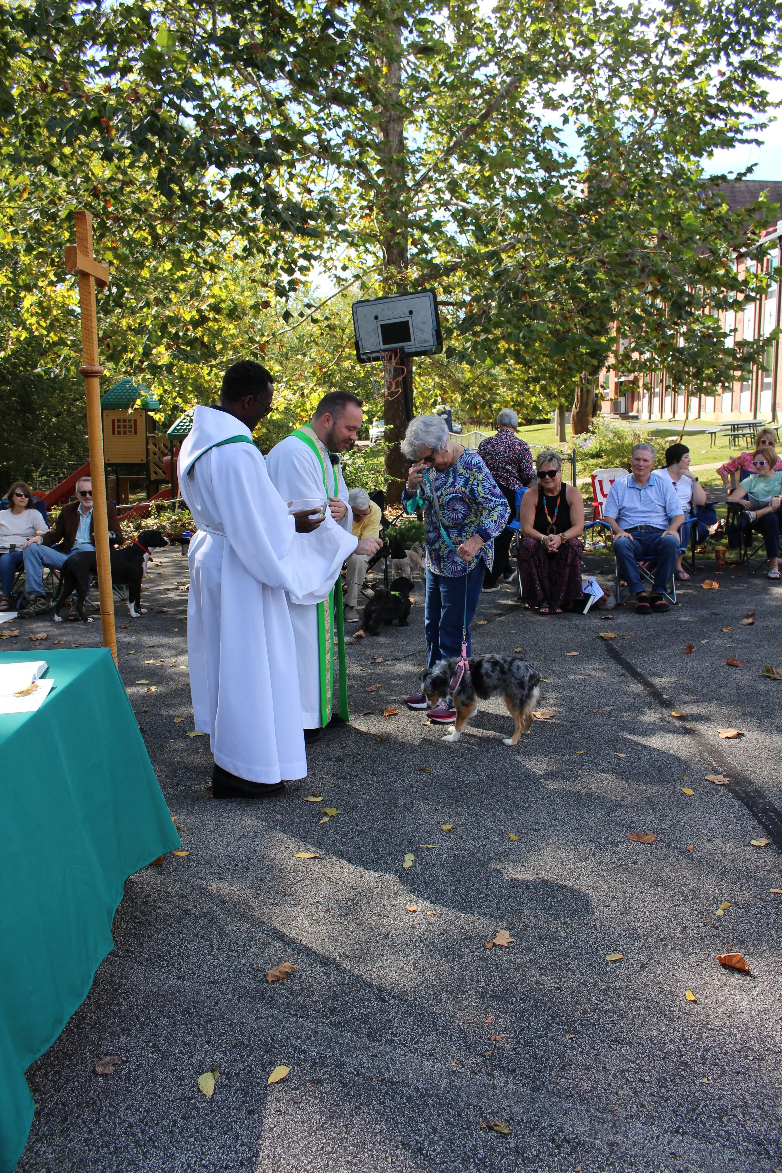 Blessing of the Animals - Outdoor Mass