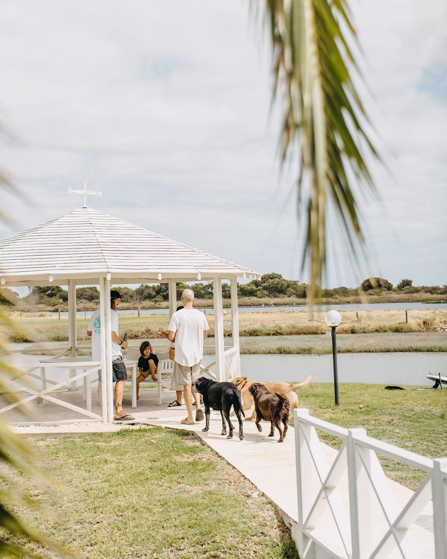 Did someone say its time for a paddle? 🐶 
 
Not only is our estate dog friendly, but we have a feeling your pooch might enjoy this holiday just as much as you do.