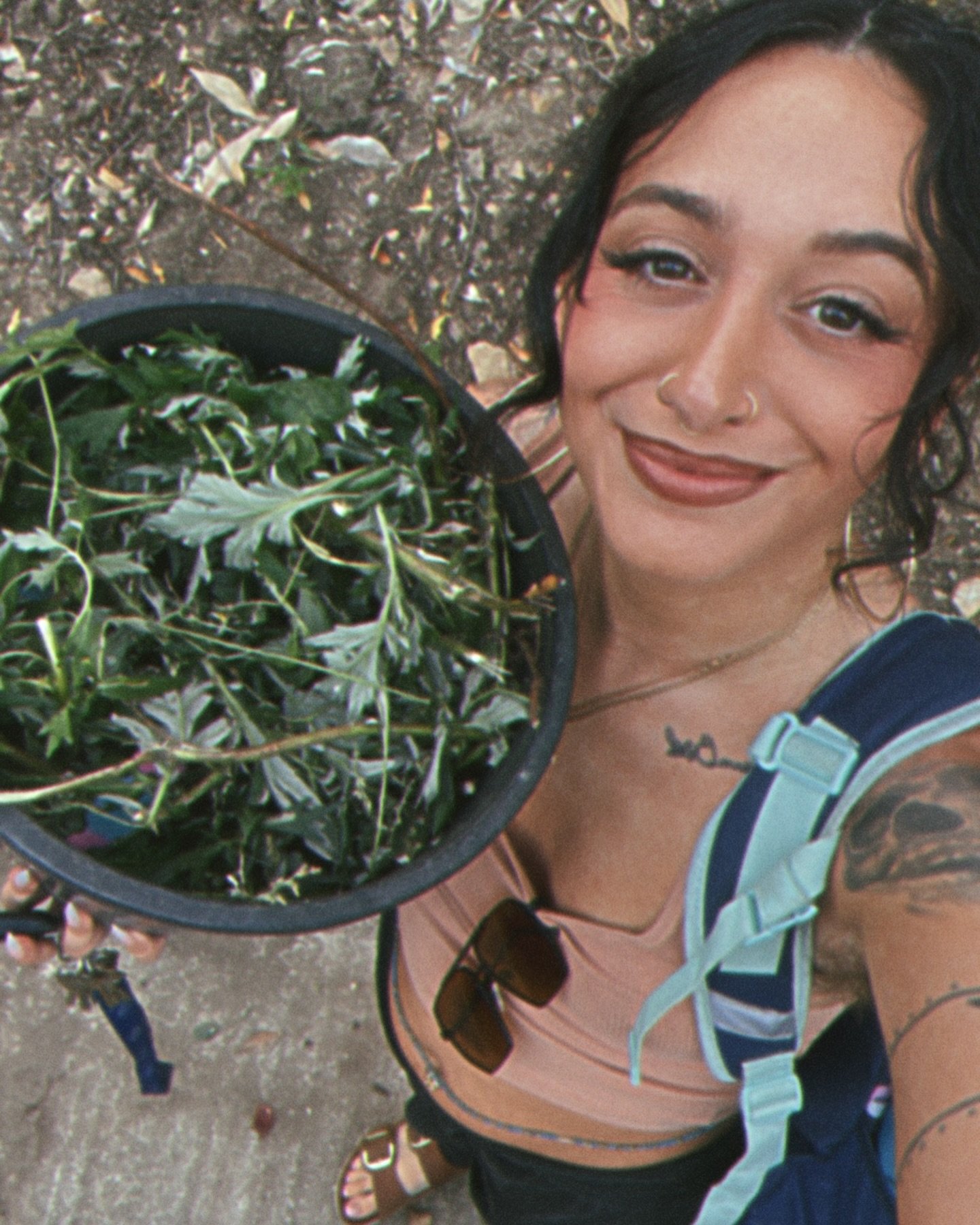 A happy mom w their bucket of mugwort that their kiddo harvested themselves in their school&rsquo;s community garden. &ldquo;I asked if I could take some home for my mom bc my mom likes mugwort and they told me as much as I could carry so I carried t