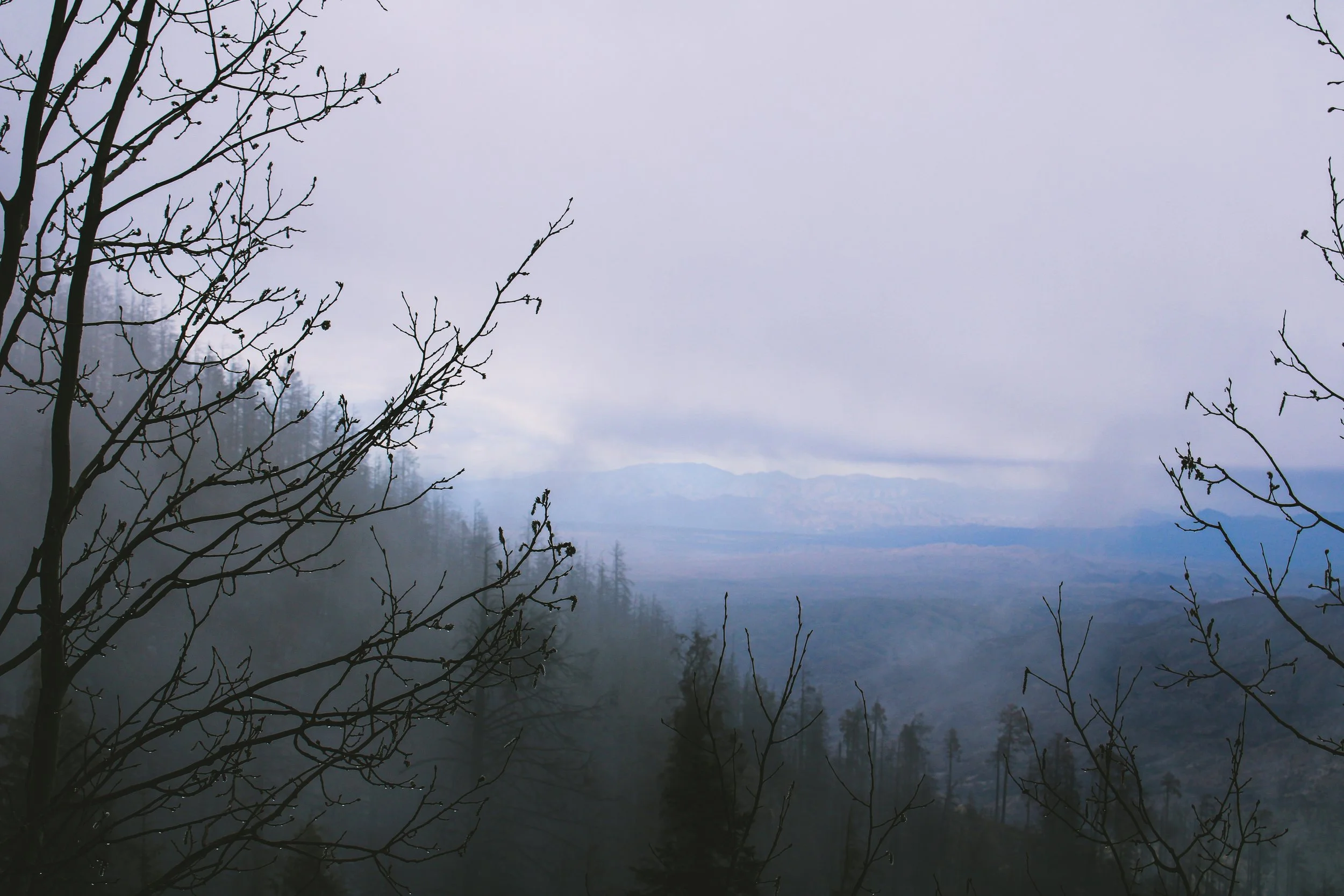 The Long Game, Mount Lemmon-Arizona