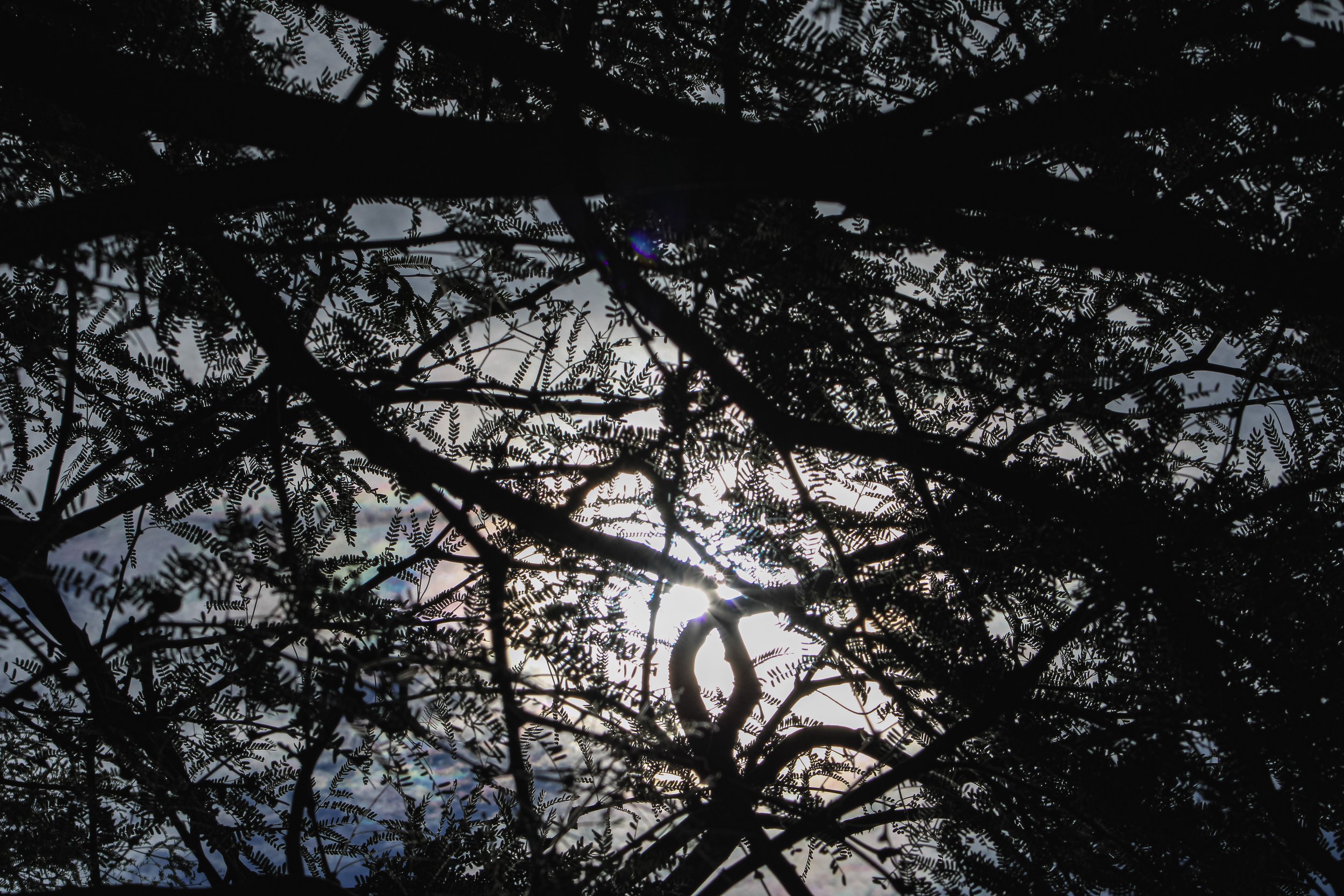72807BA0-FA6E-4805-9D12-CC55FD6B6FCF.jpeg